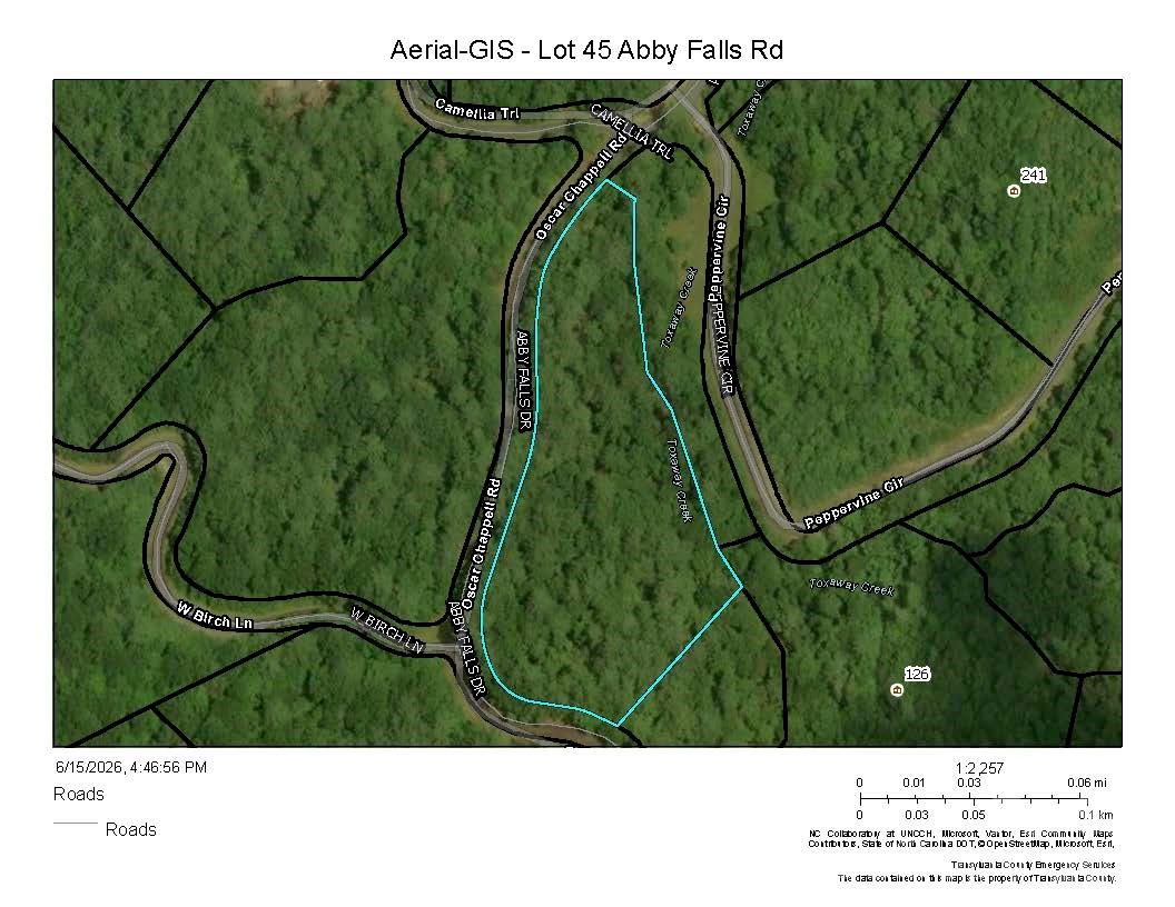 Lot 45 Abby Falls Drive Property Photo 2