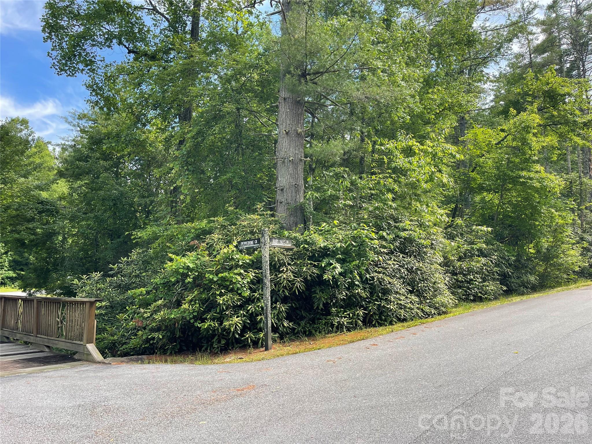 Lot 45 Abby Falls Drive Property Photo 3