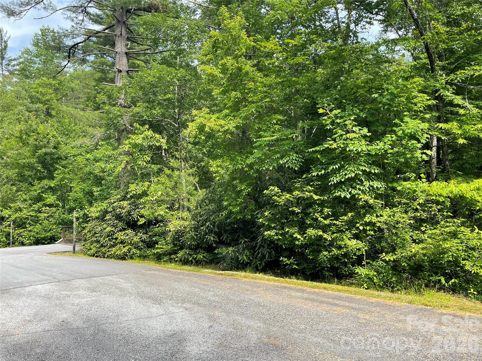 Lot 45 Abby Falls Drive Property Photo 4