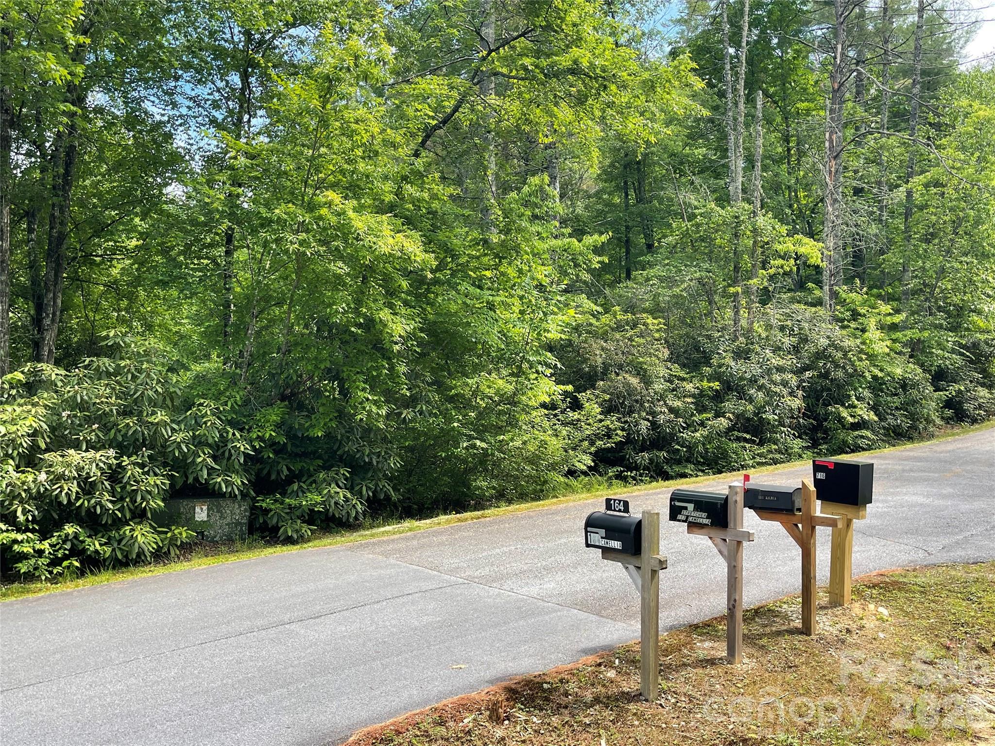 Lot 45 Abby Falls Drive Property Photo 5