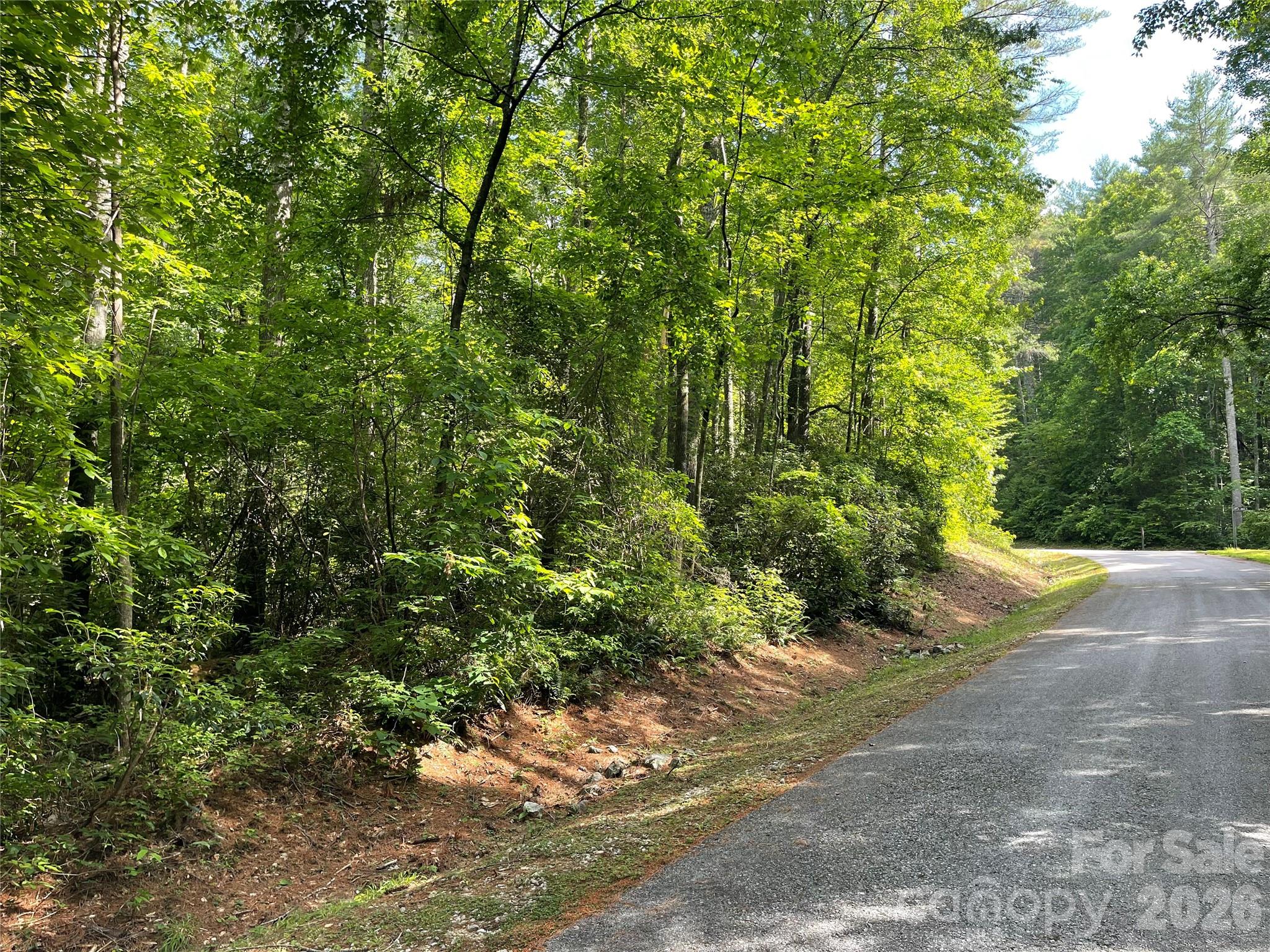 Lot 45 Abby Falls Drive Property Photo 6