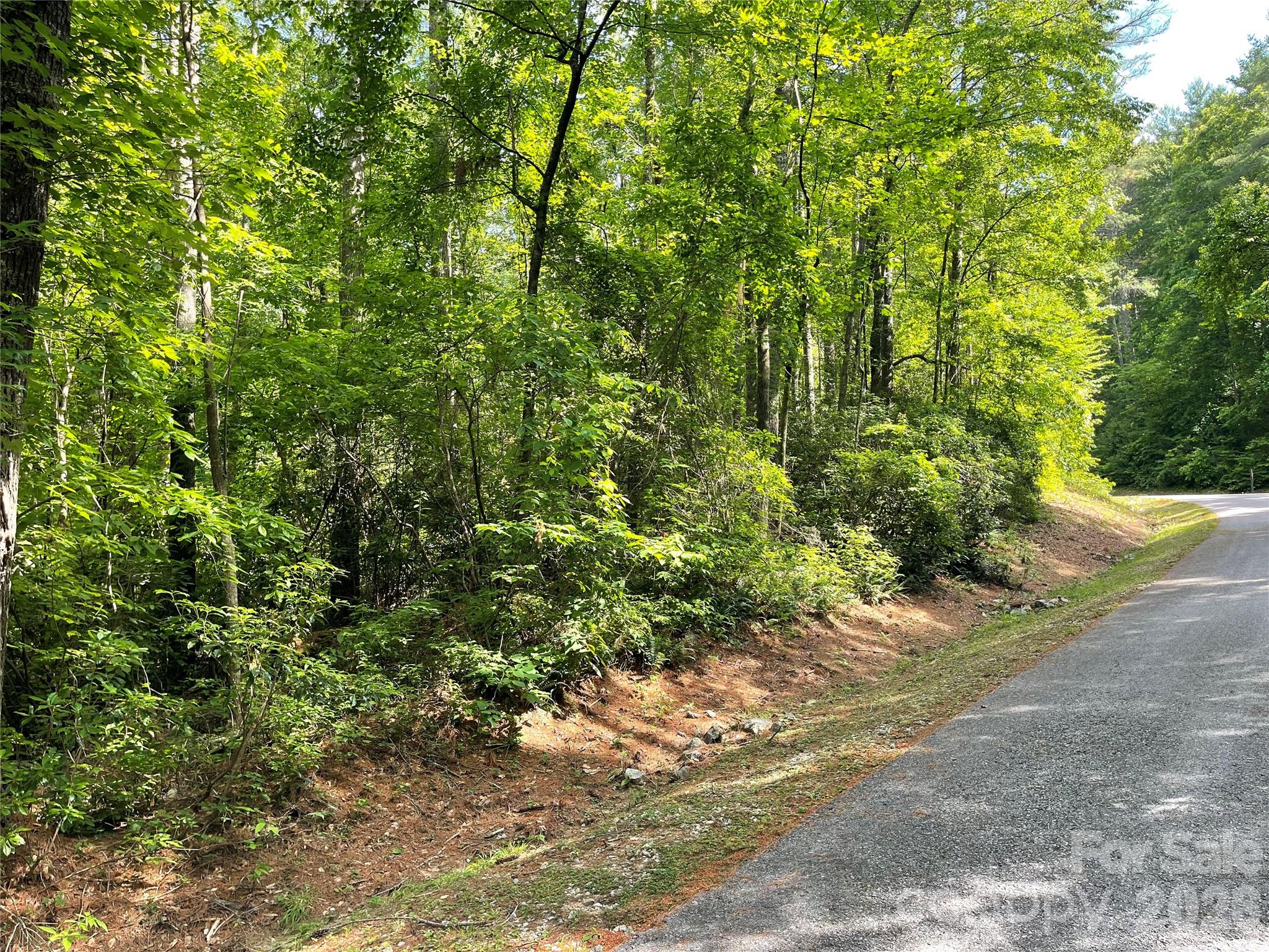 Lot 45 Abby Falls Drive Property Photo 7