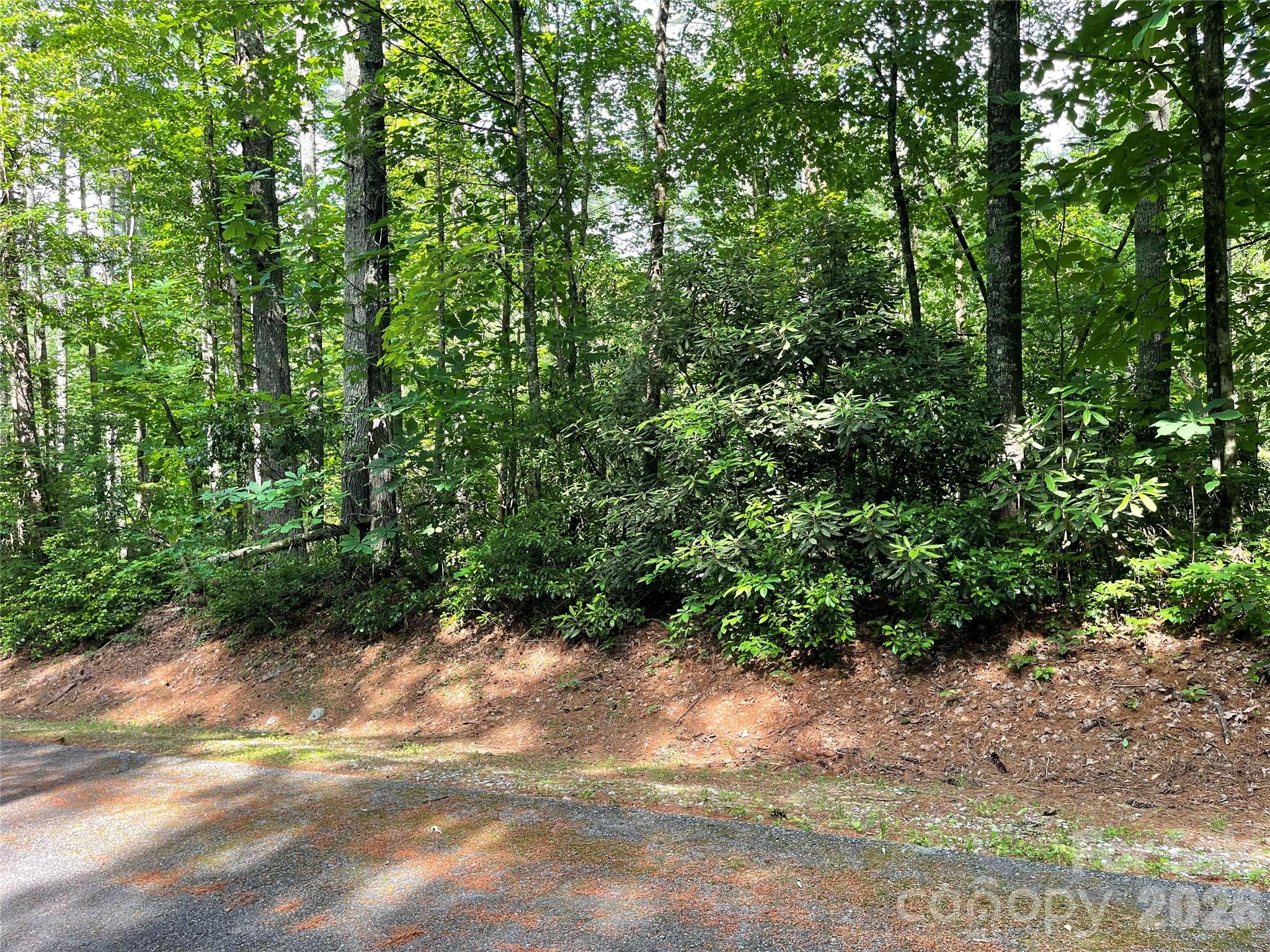 Lot 45 Abby Falls Drive Property Photo 8