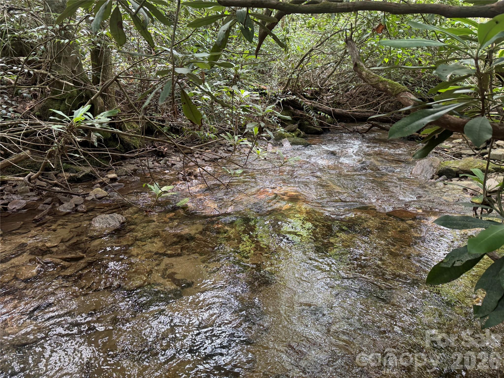 Lot 45 Abby Falls Drive Property Photo 11