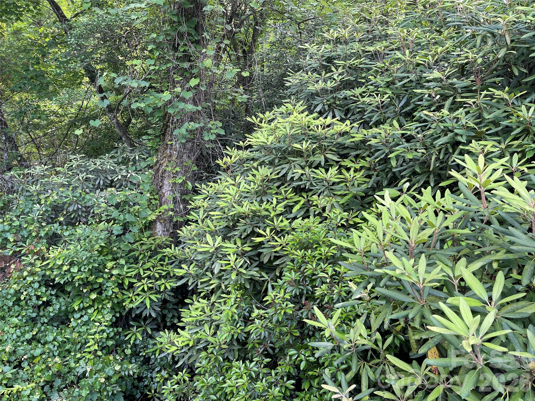 Lot 45 Abby Falls Drive Property Photo 17