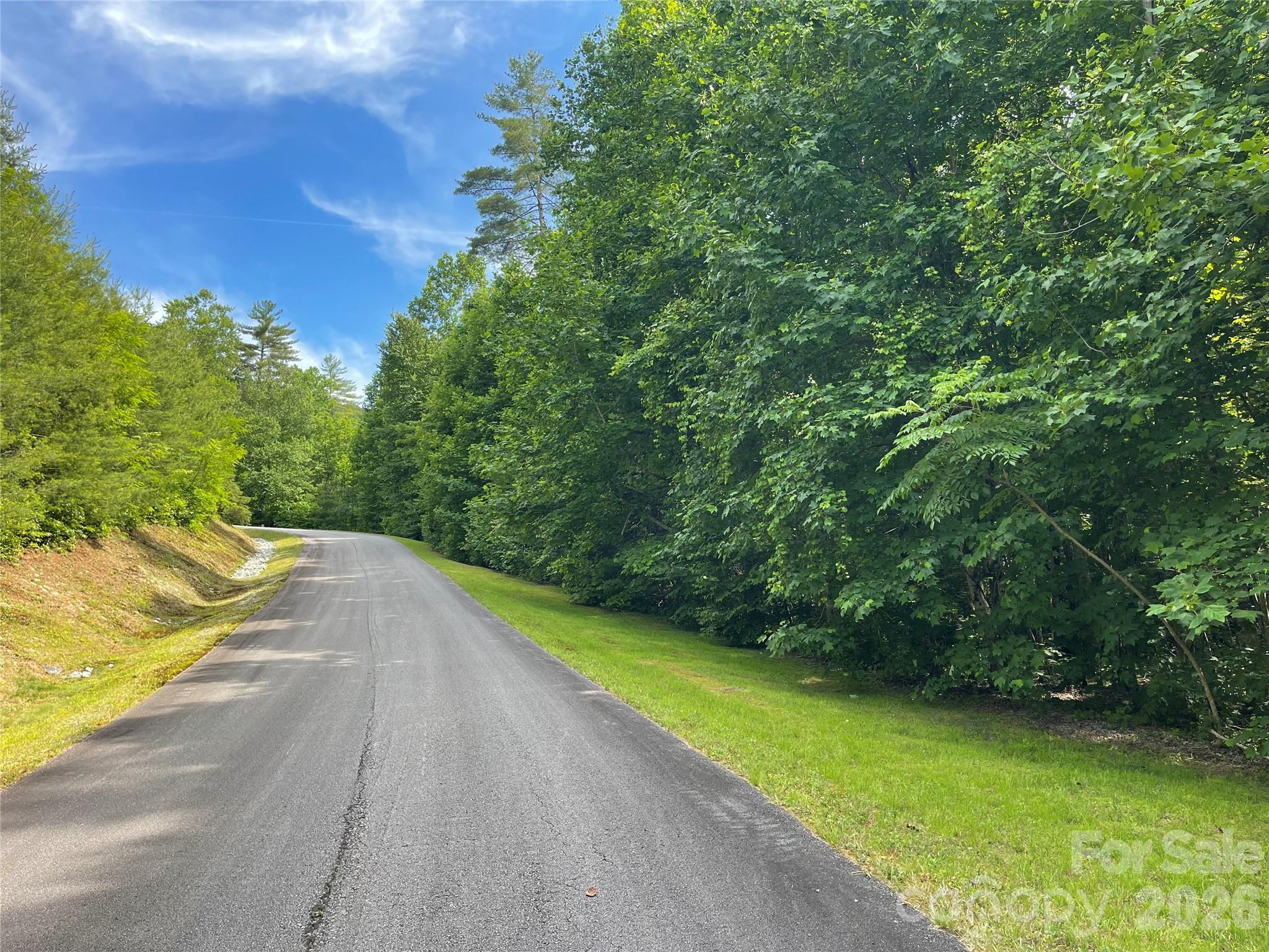 Lot 45 Abby Falls Drive Property Photo 18