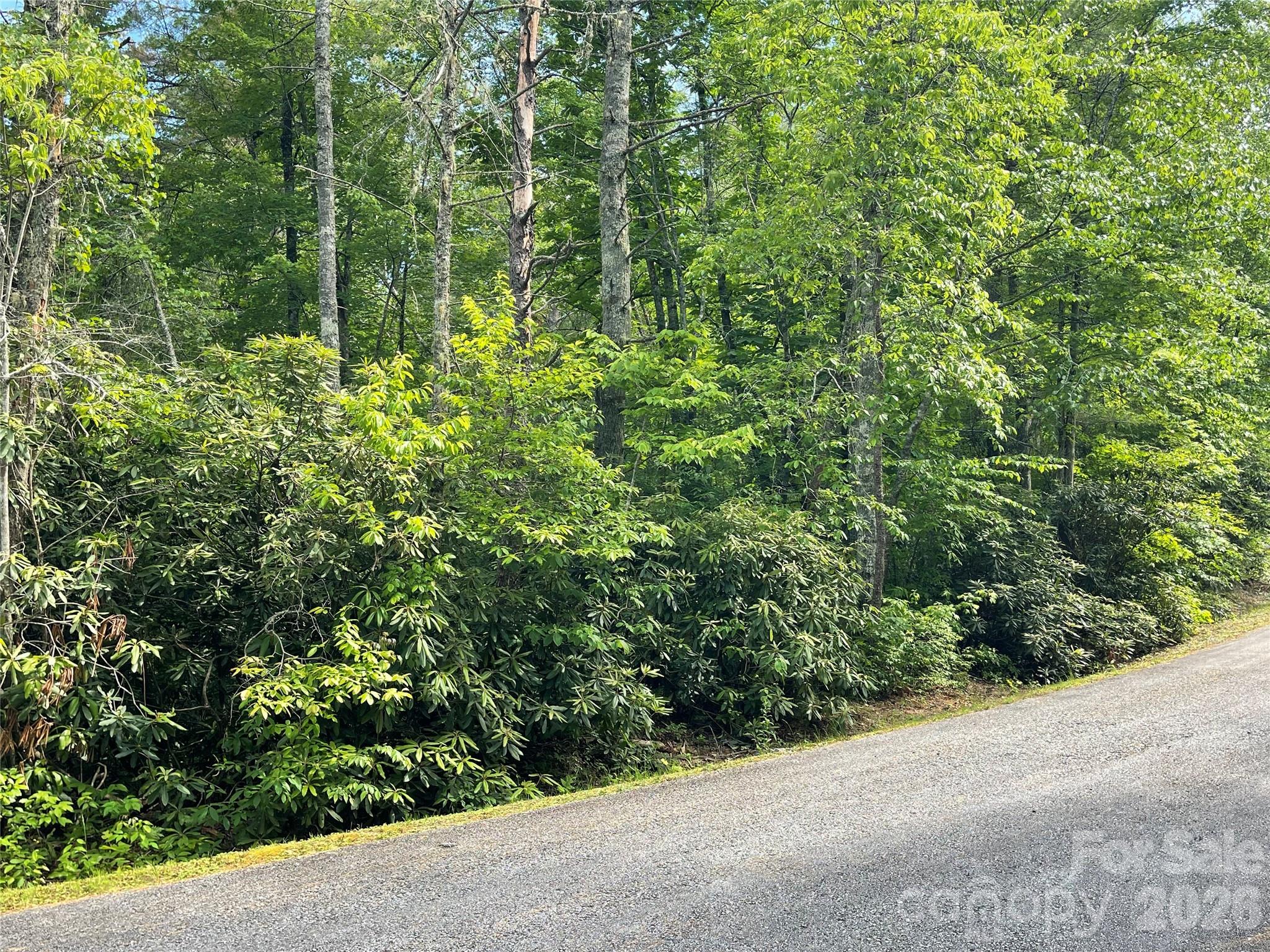 Lot 45 Abby Falls Drive Property Photo 20