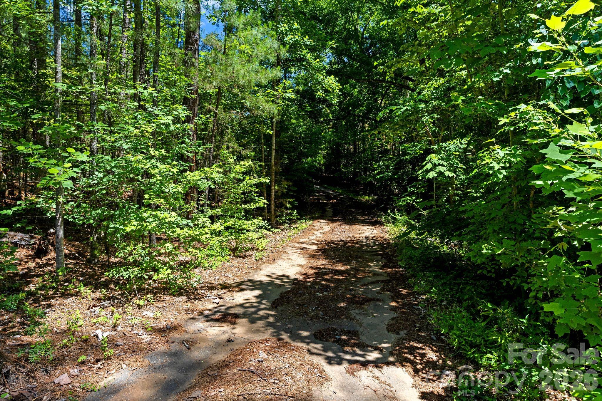 11038 Harrisburg Road Property Photo 5