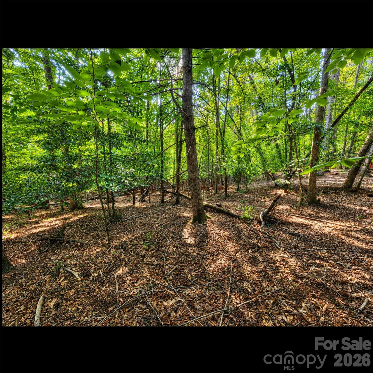 547 James View Road Property Photo 6