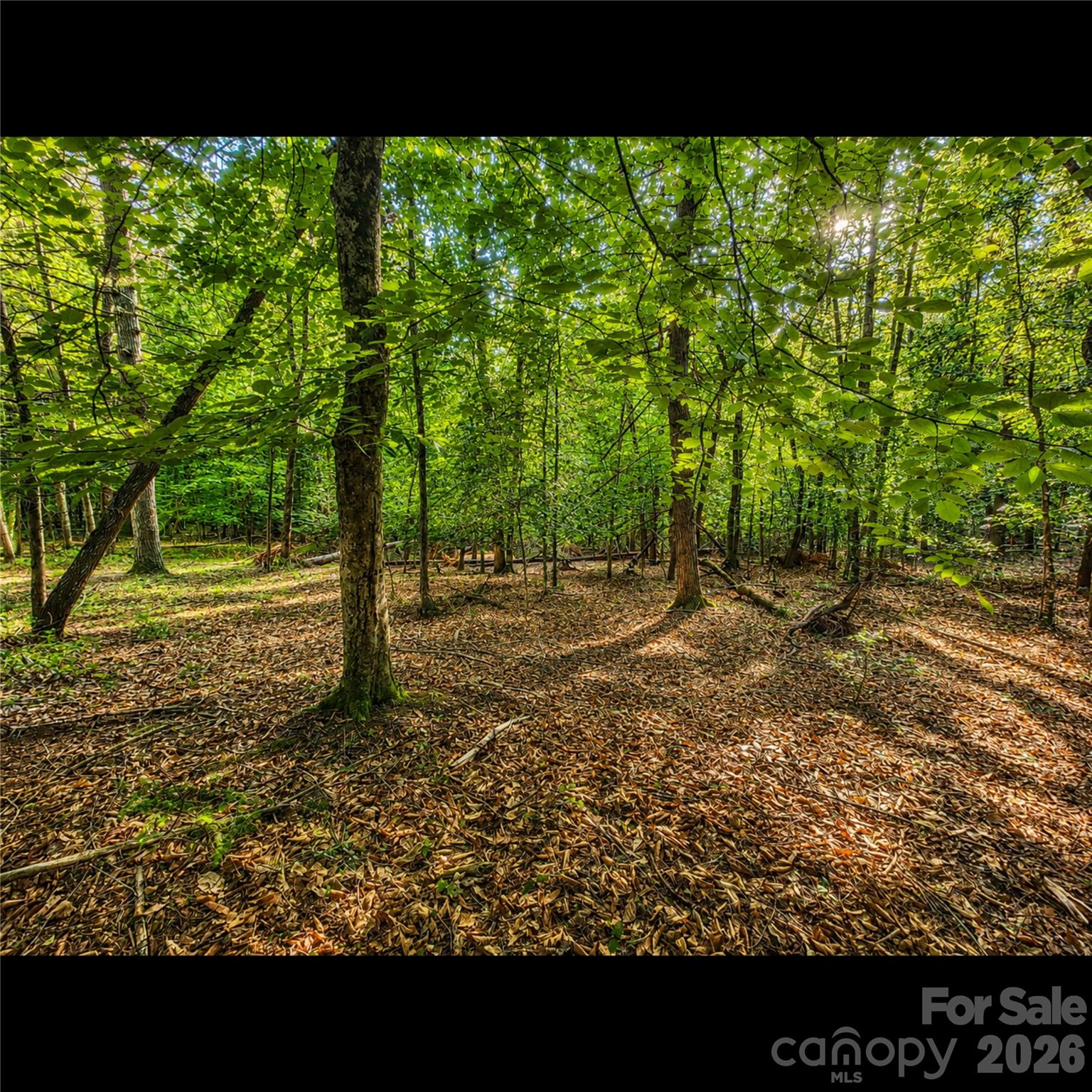 547 James View Road Property Photo 7