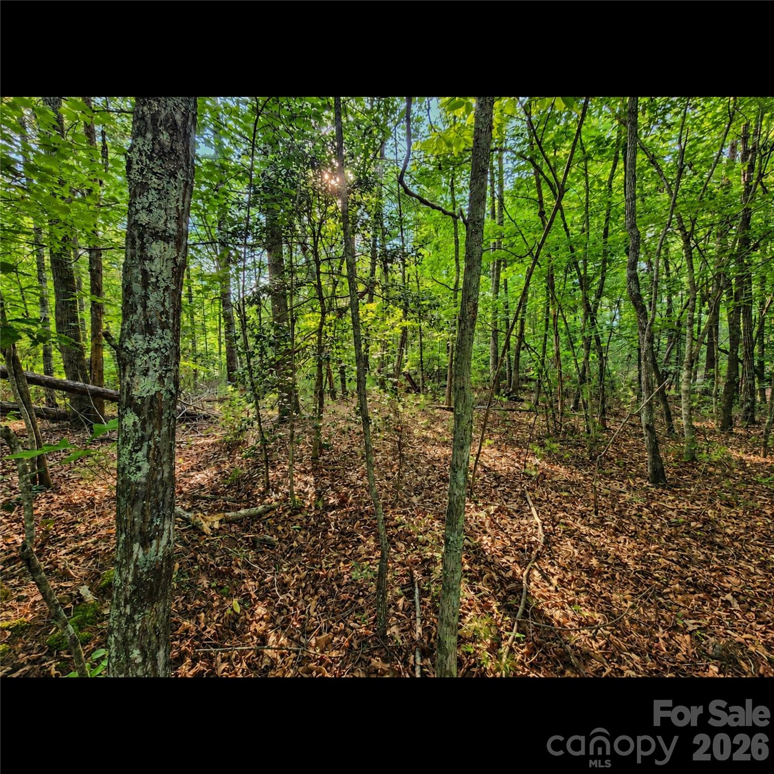 547 James View Road Property Photo 8