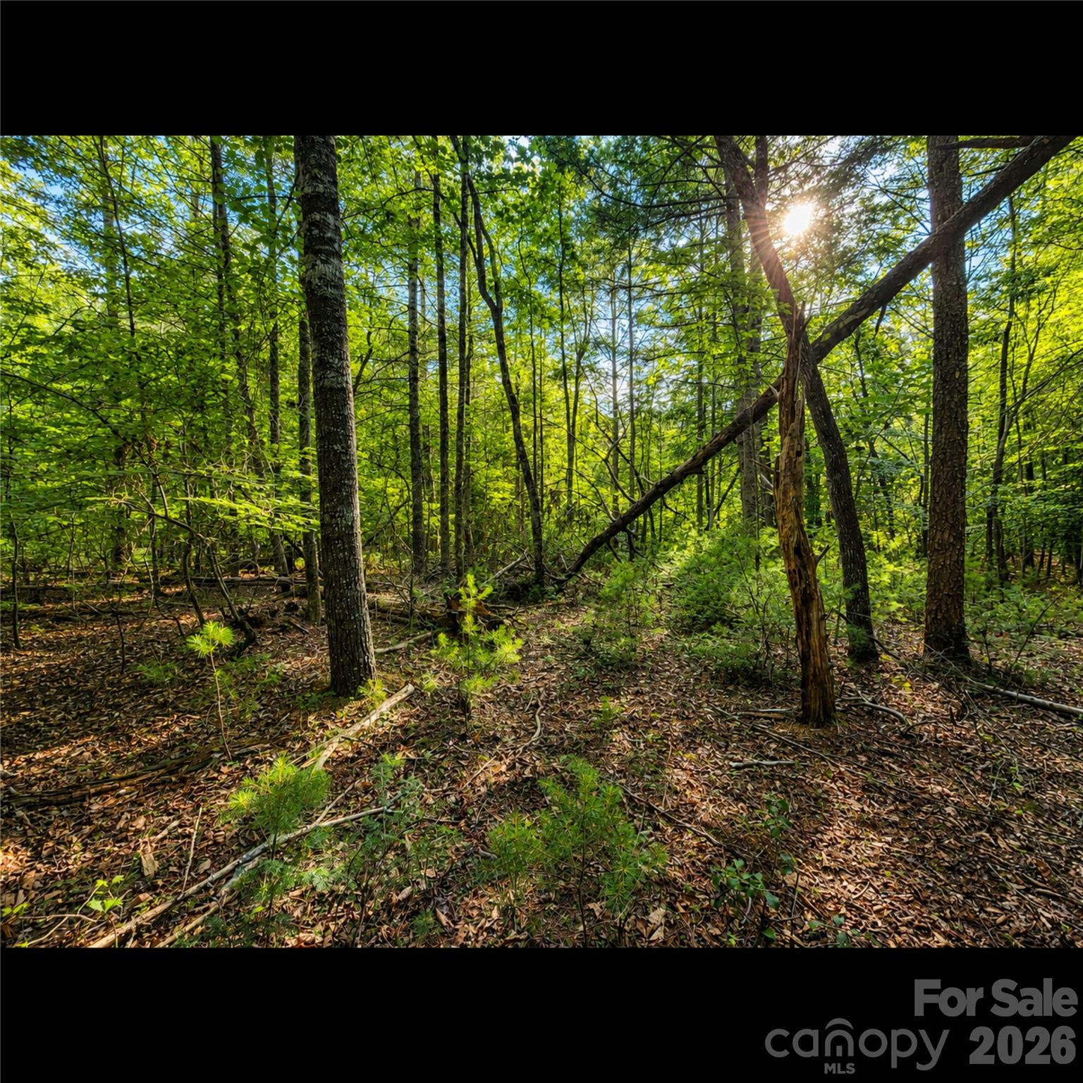 547 James View Road Property Photo 9