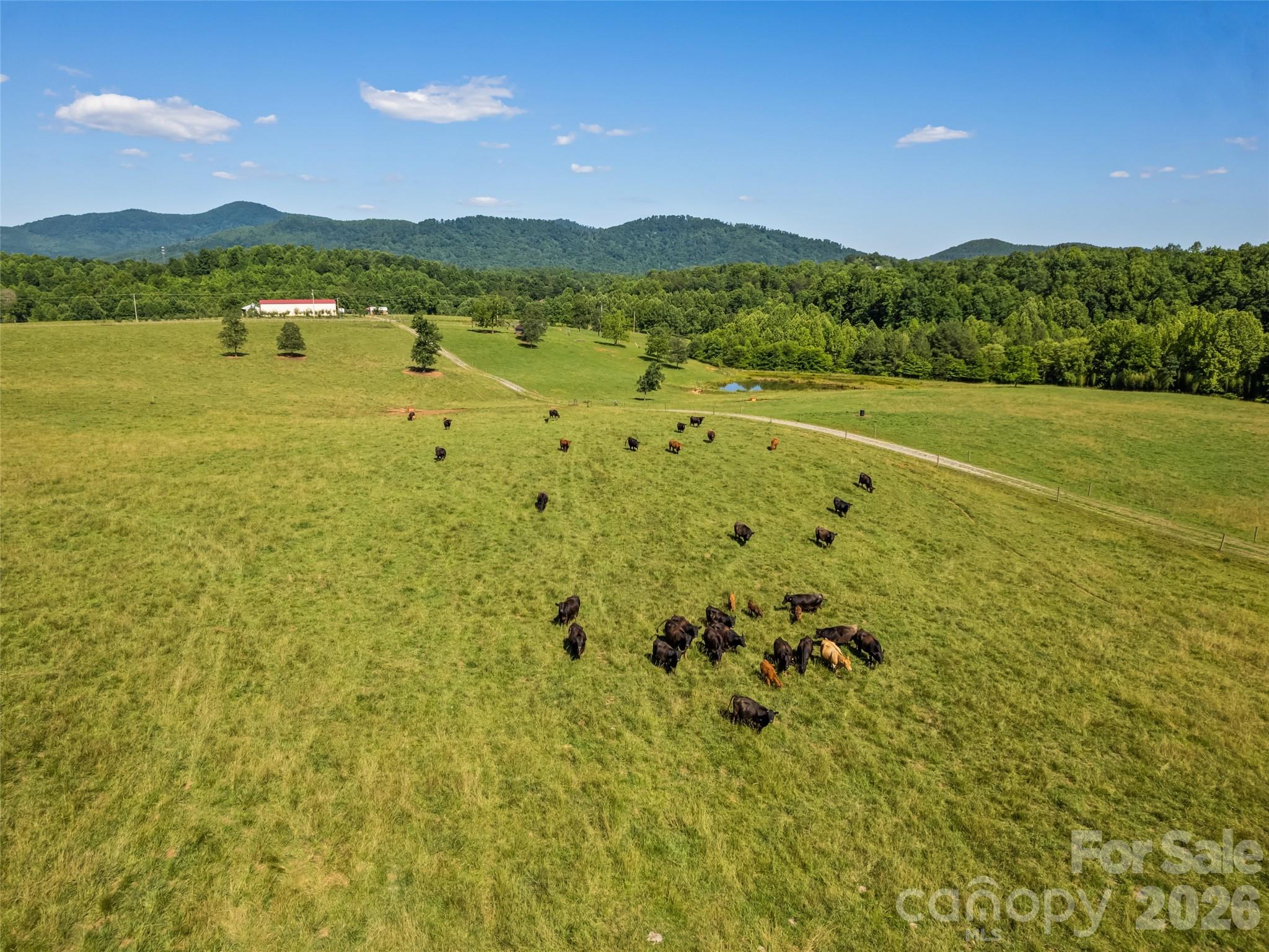 1418 Landis Lane Property Photo 9