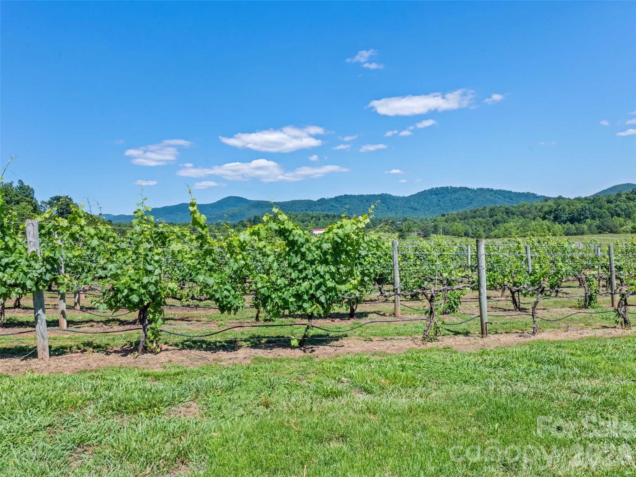 1418 Landis Lane Property Photo 42