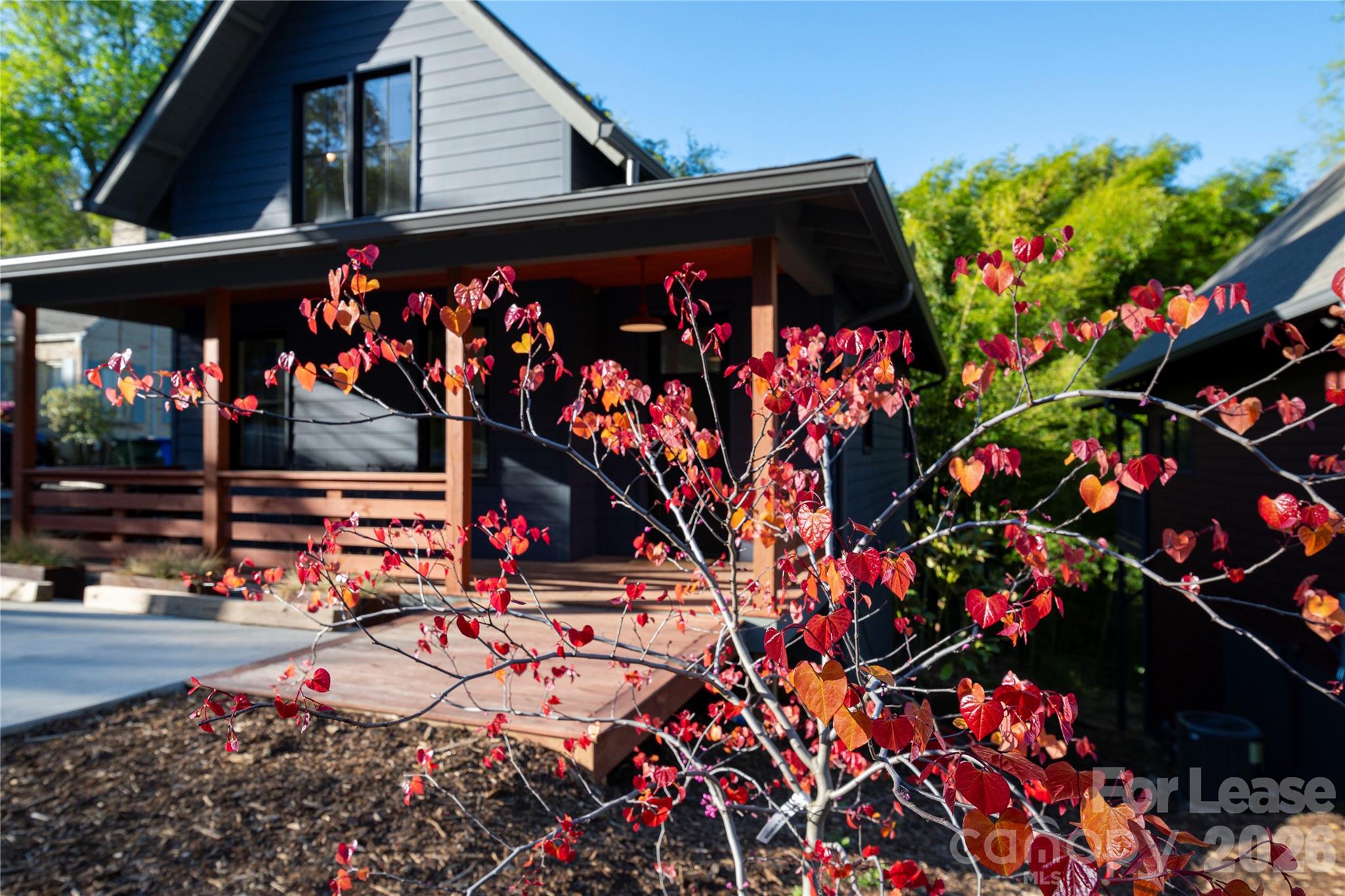 12 Waverly Road Property Photo 20