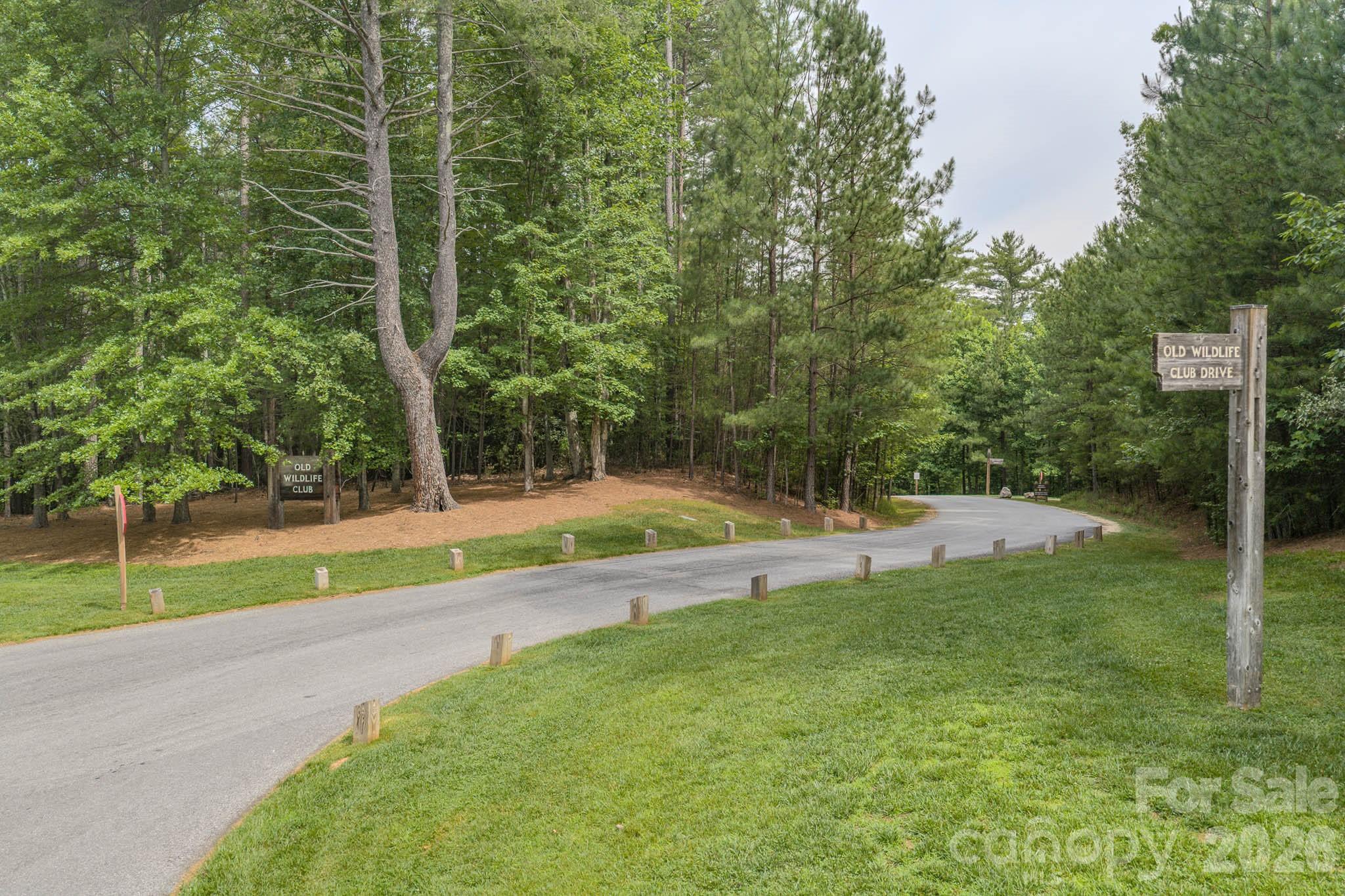 1904 Old Wildlife Club Road 10 Property Photo 34