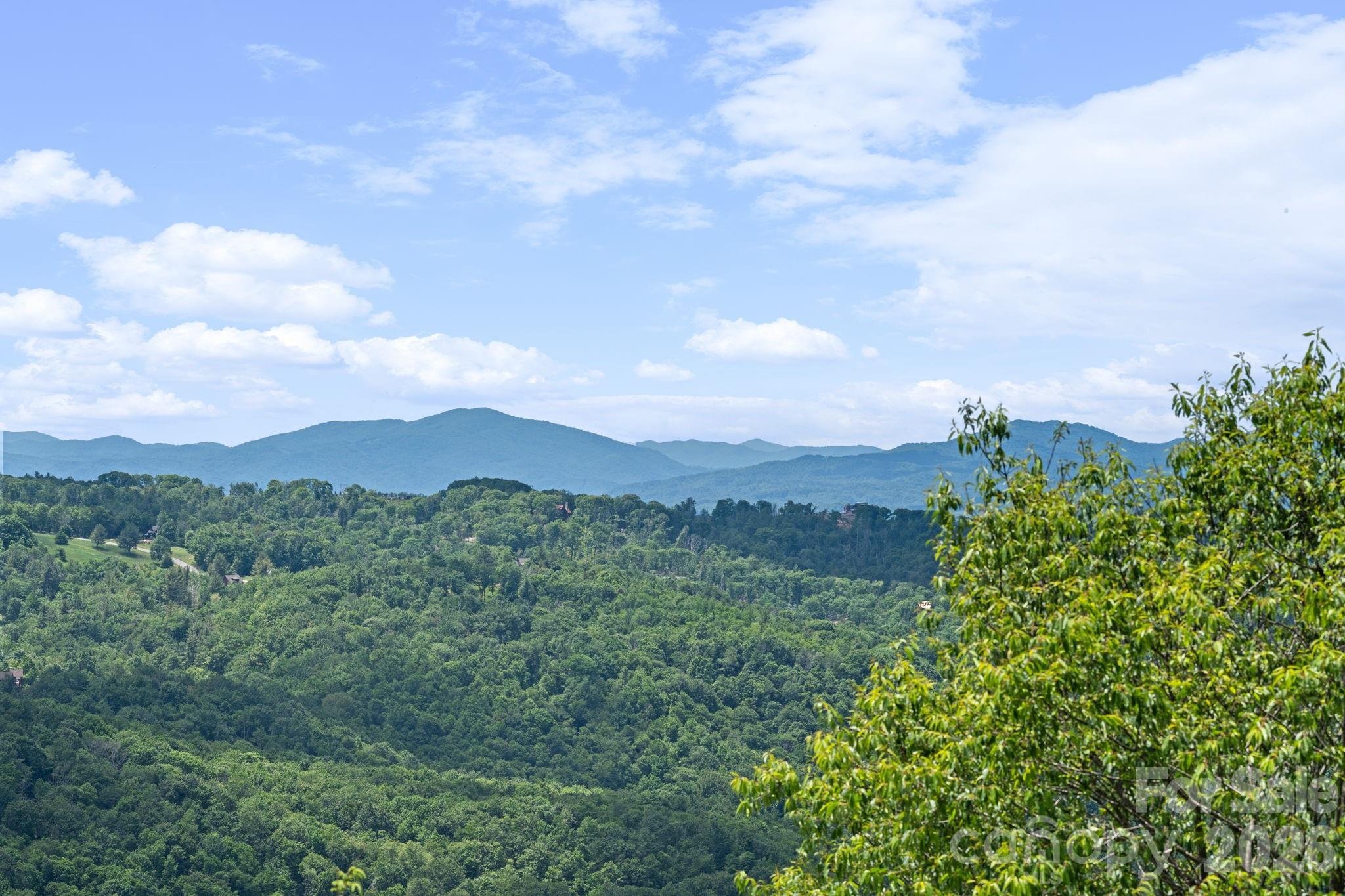 117 Pinnacle Ridge Road Property Photo 43