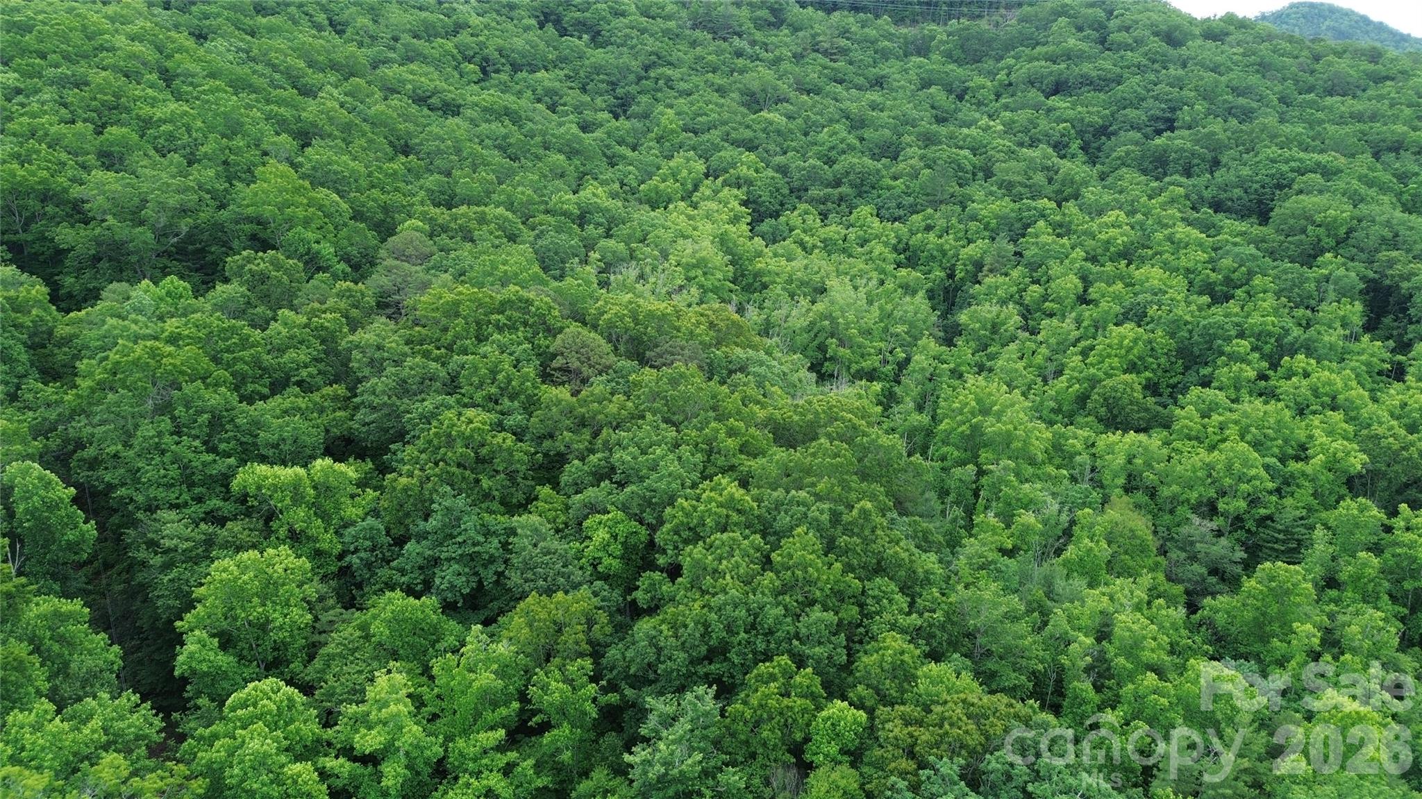 9999 Sunset Drive Property Photo 13