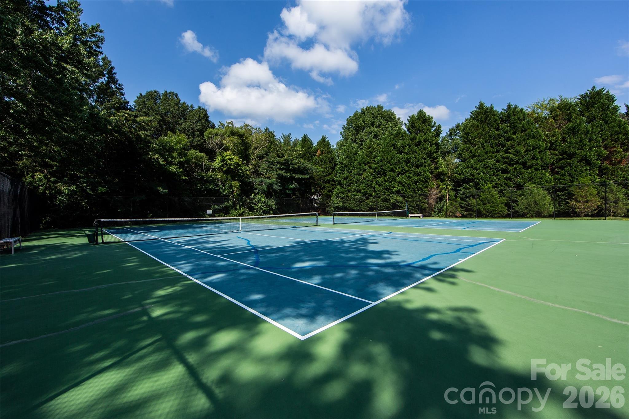 7306 Carrbridge Lane Property Photo 41