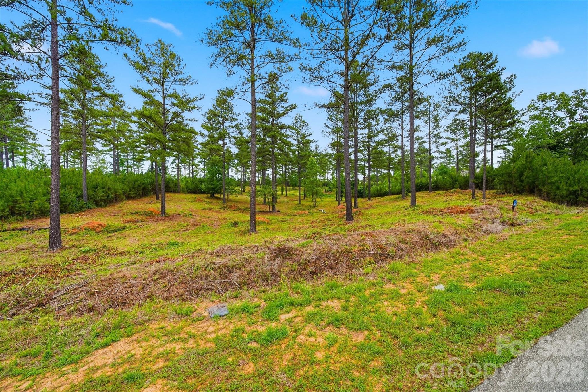 1776 Cove Side Drive Property Photo 12