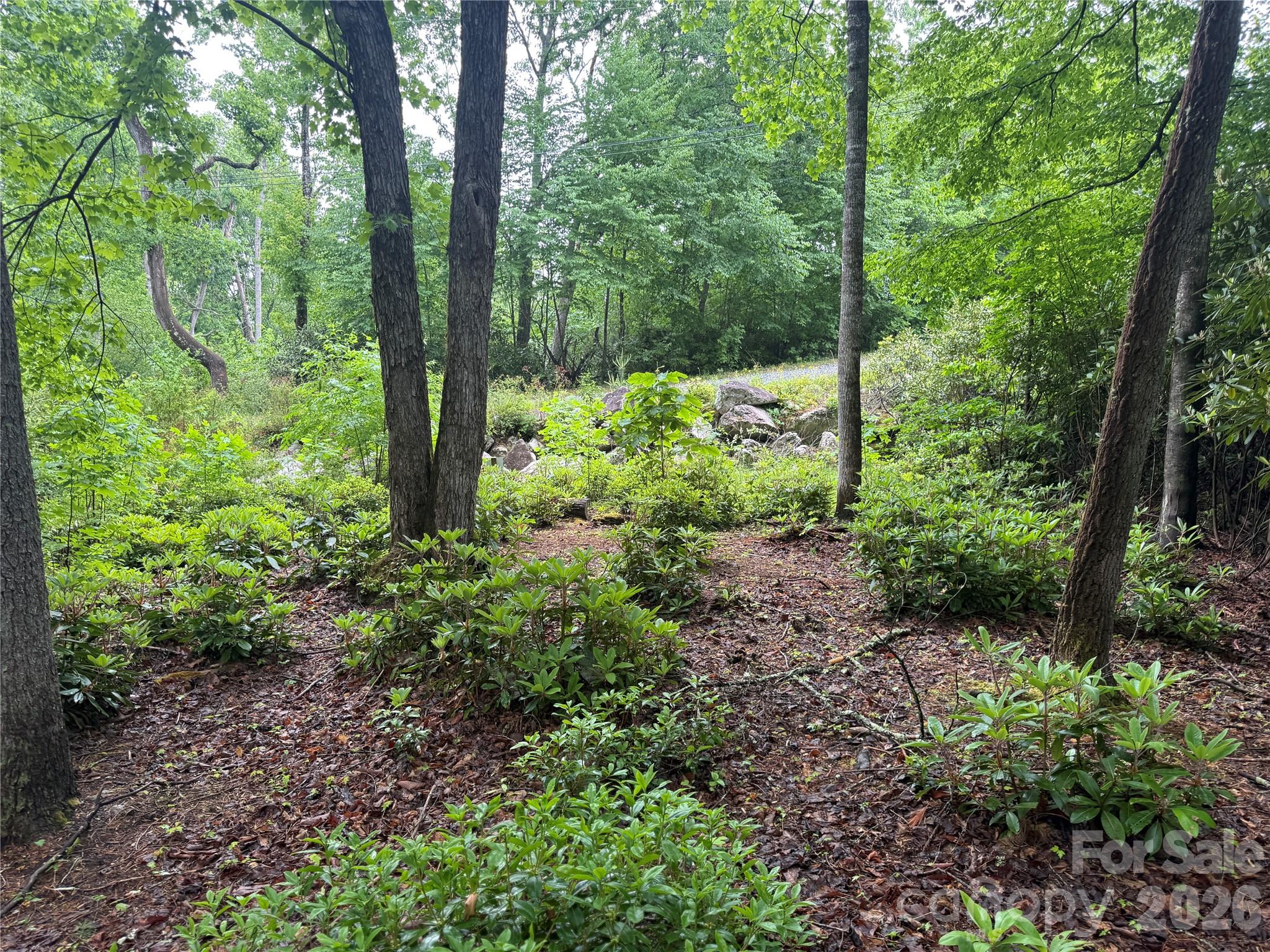 Tbd Dogwood Trail Property Photo 1