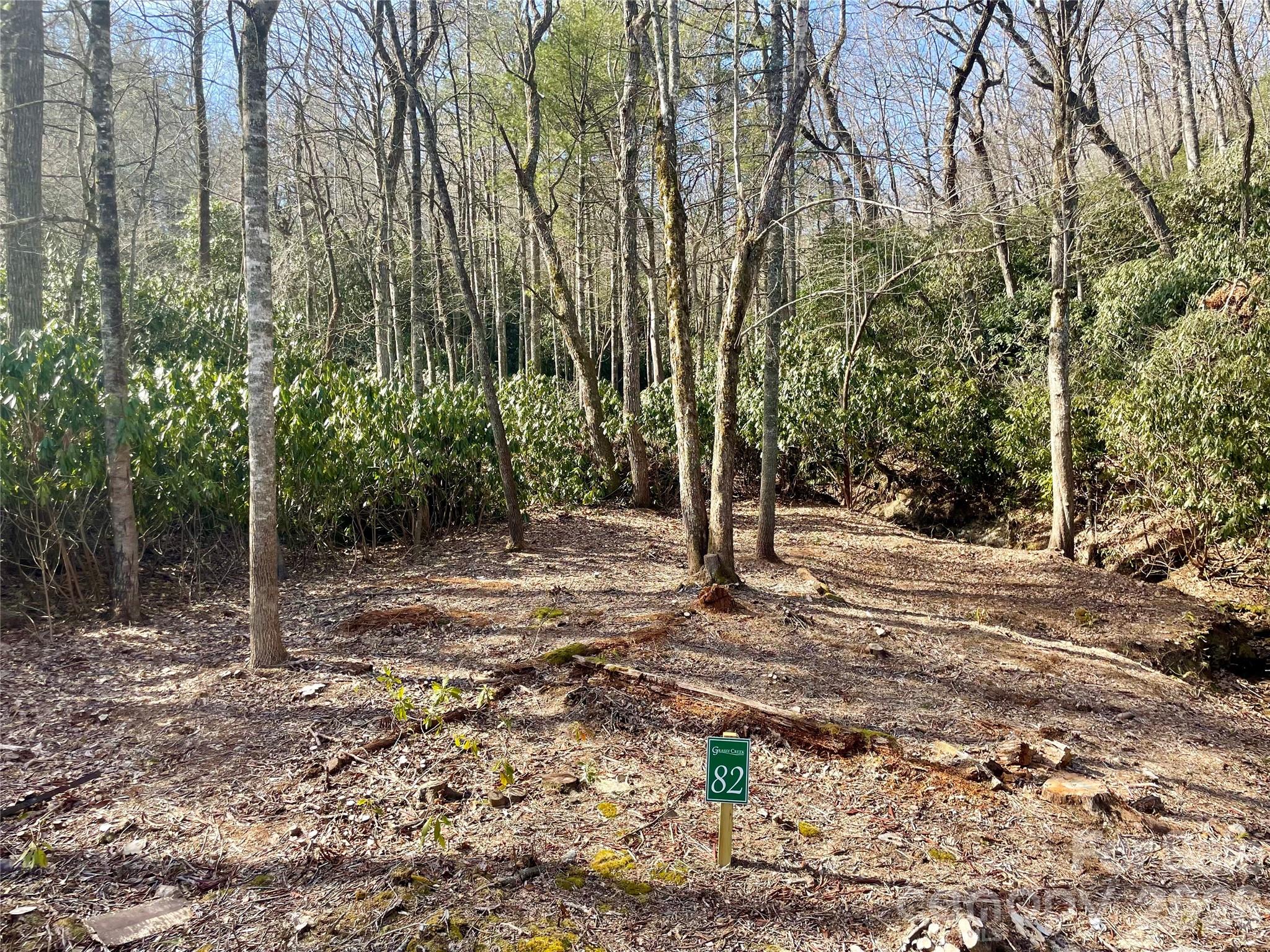 Tbd Dogwood Trail Property Photo 2