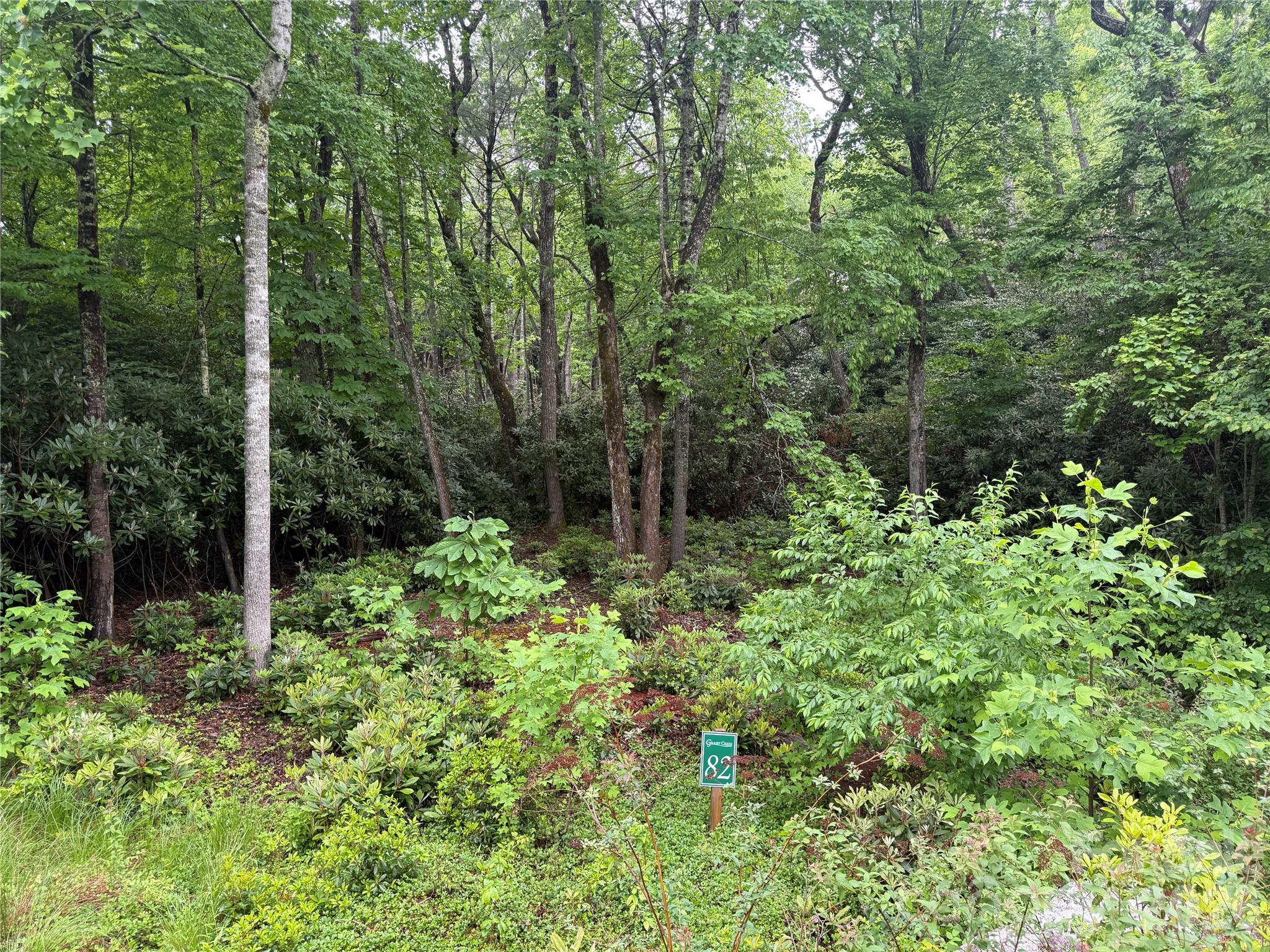 Tbd Dogwood Trail Property Photo 3