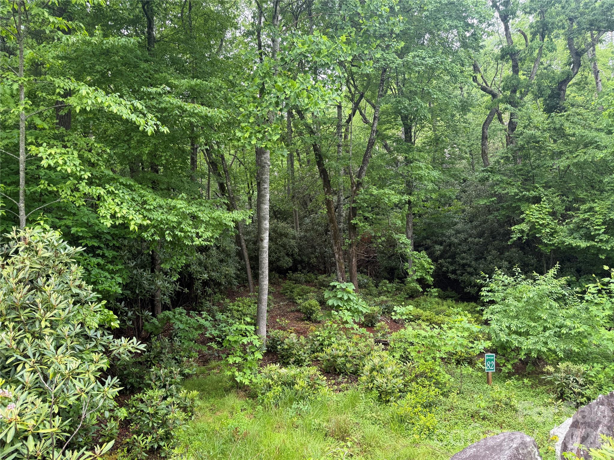 Tbd Dogwood Trail Property Photo 4