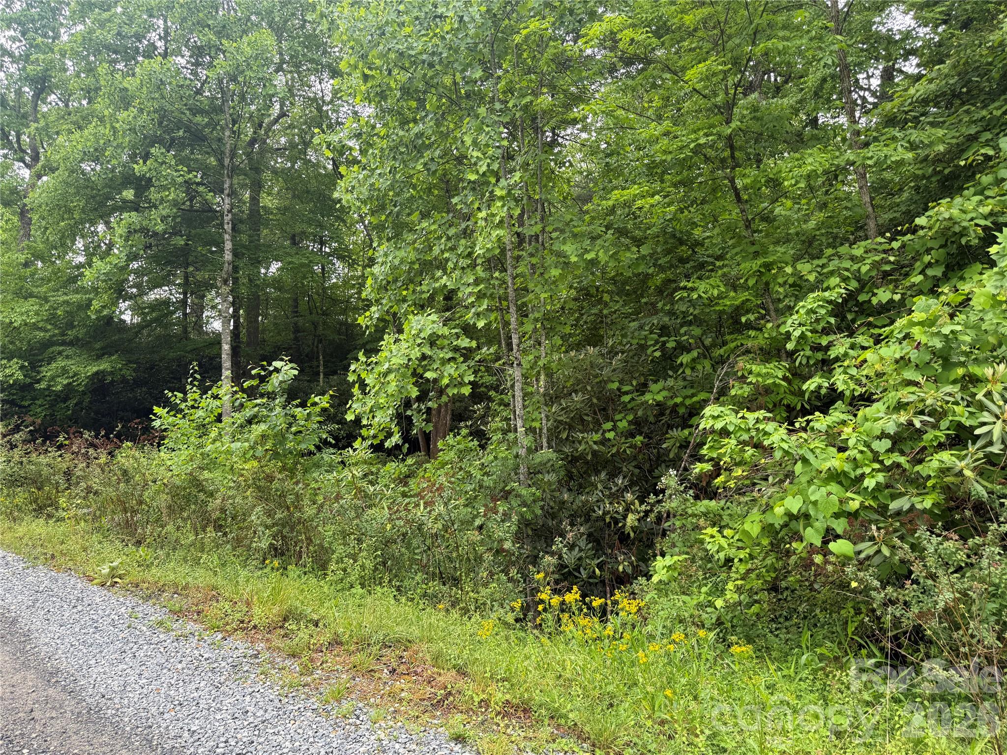 Tbd Dogwood Trail Property Photo 5