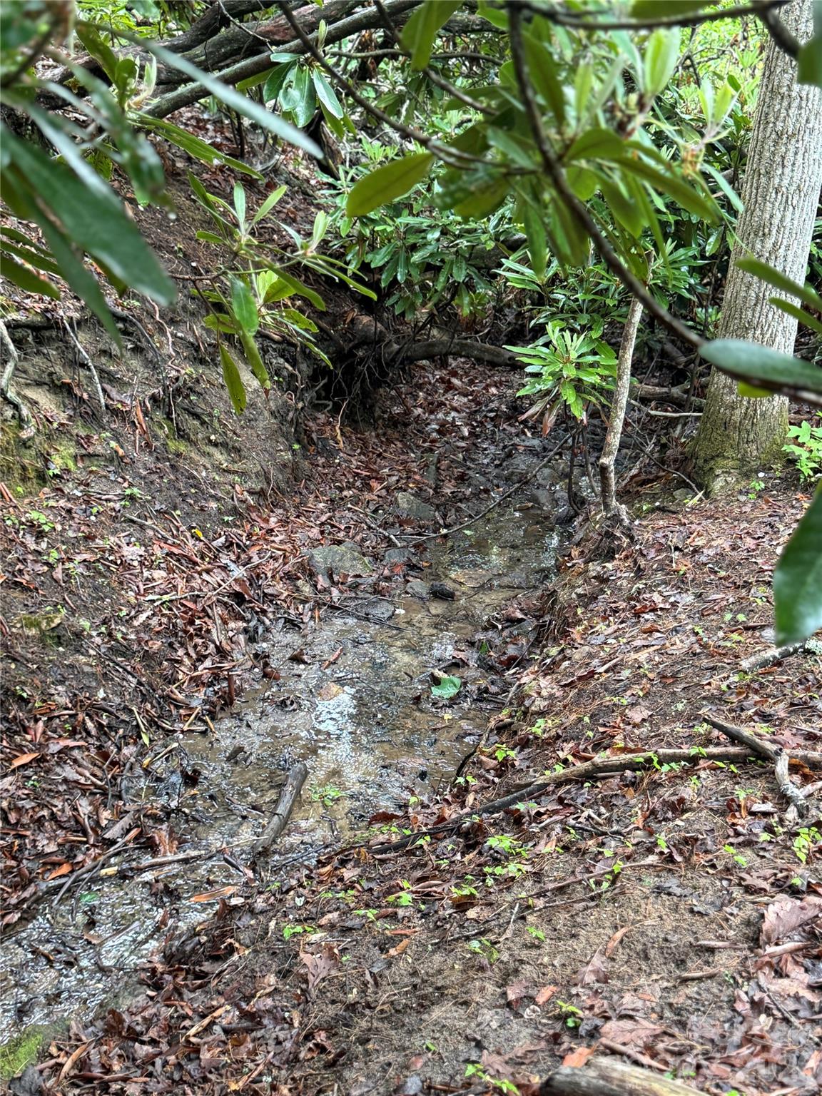Tbd Dogwood Trail Property Photo 6