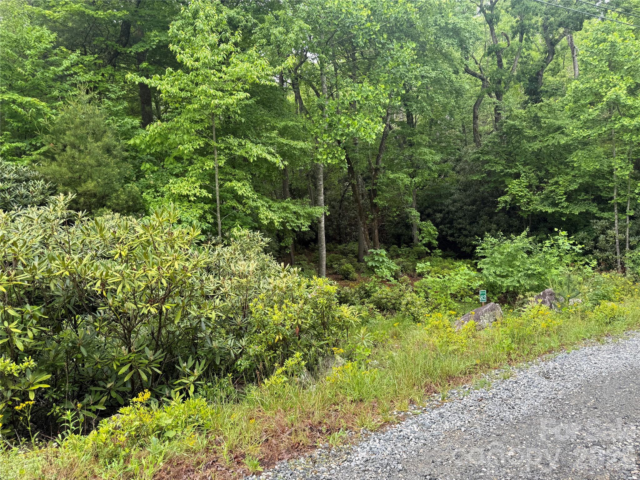 Tbd Dogwood Trail Property Photo 8