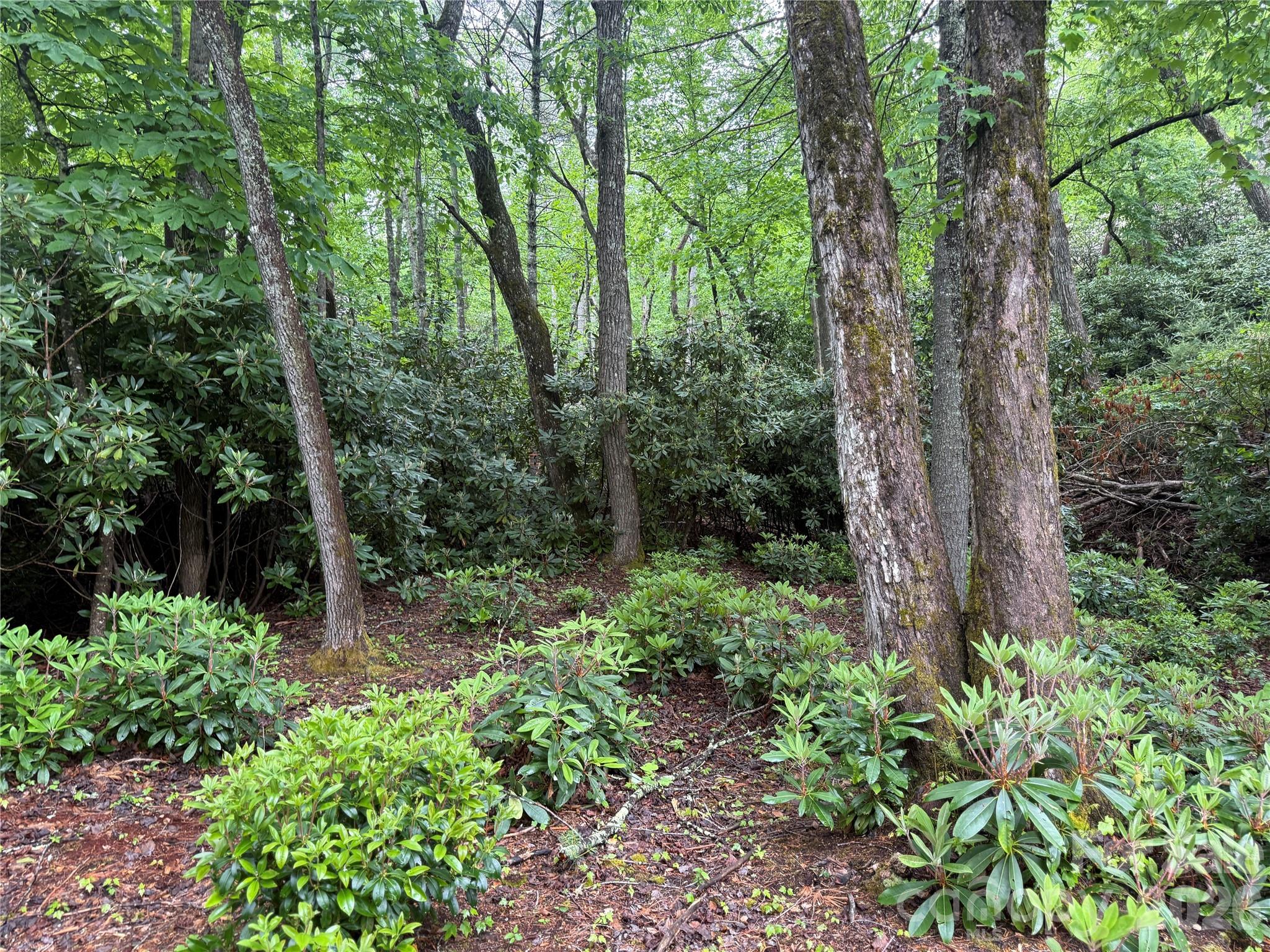 Tbd Dogwood Trail Property Photo 9