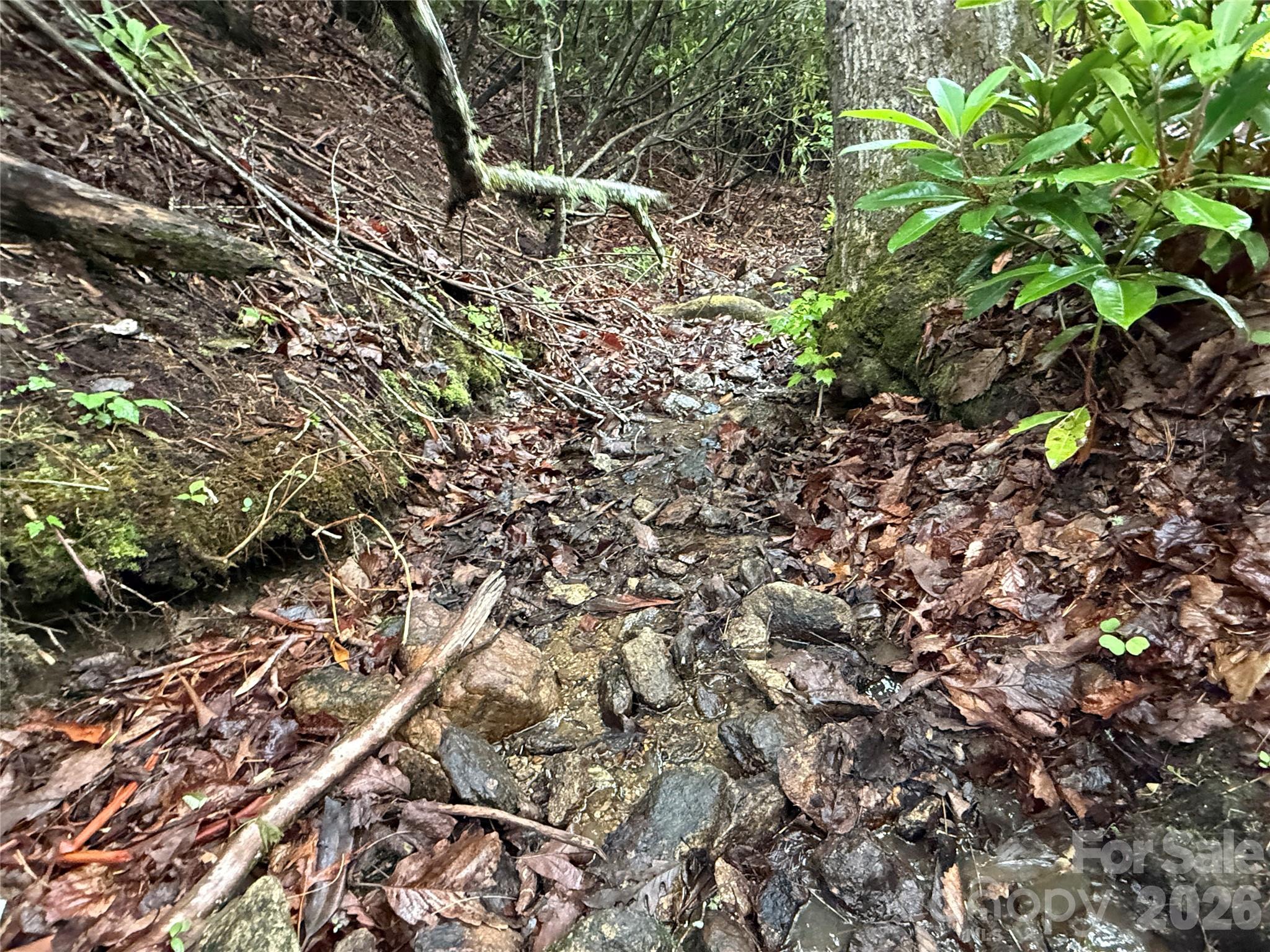 Tbd Dogwood Trail Property Photo 10
