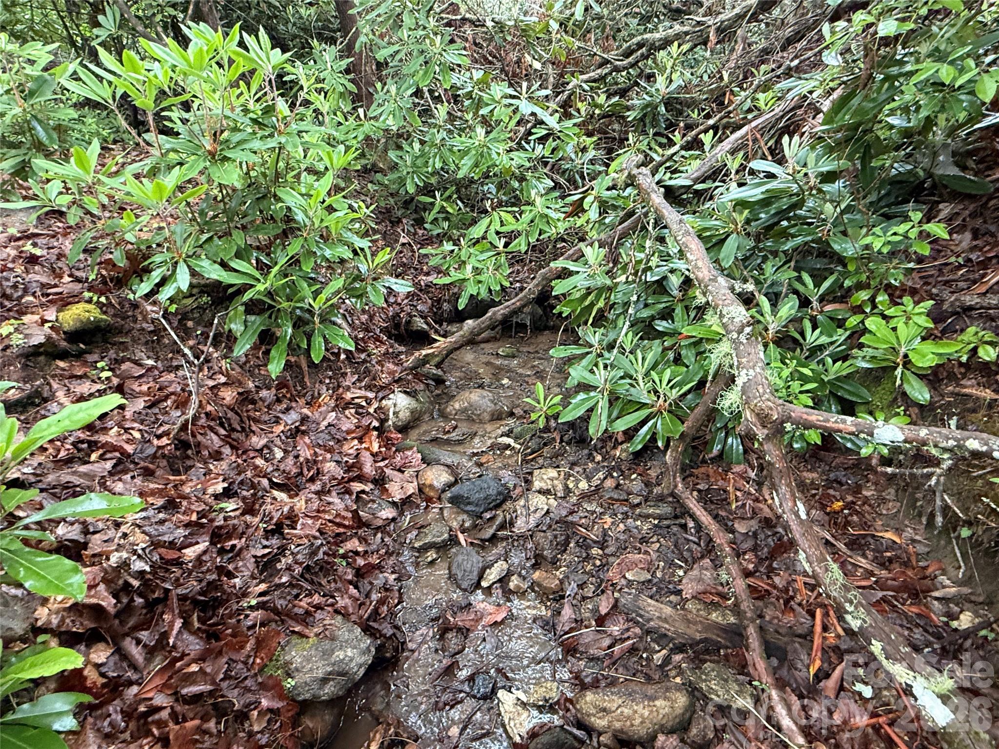 Tbd Dogwood Trail Property Photo 12