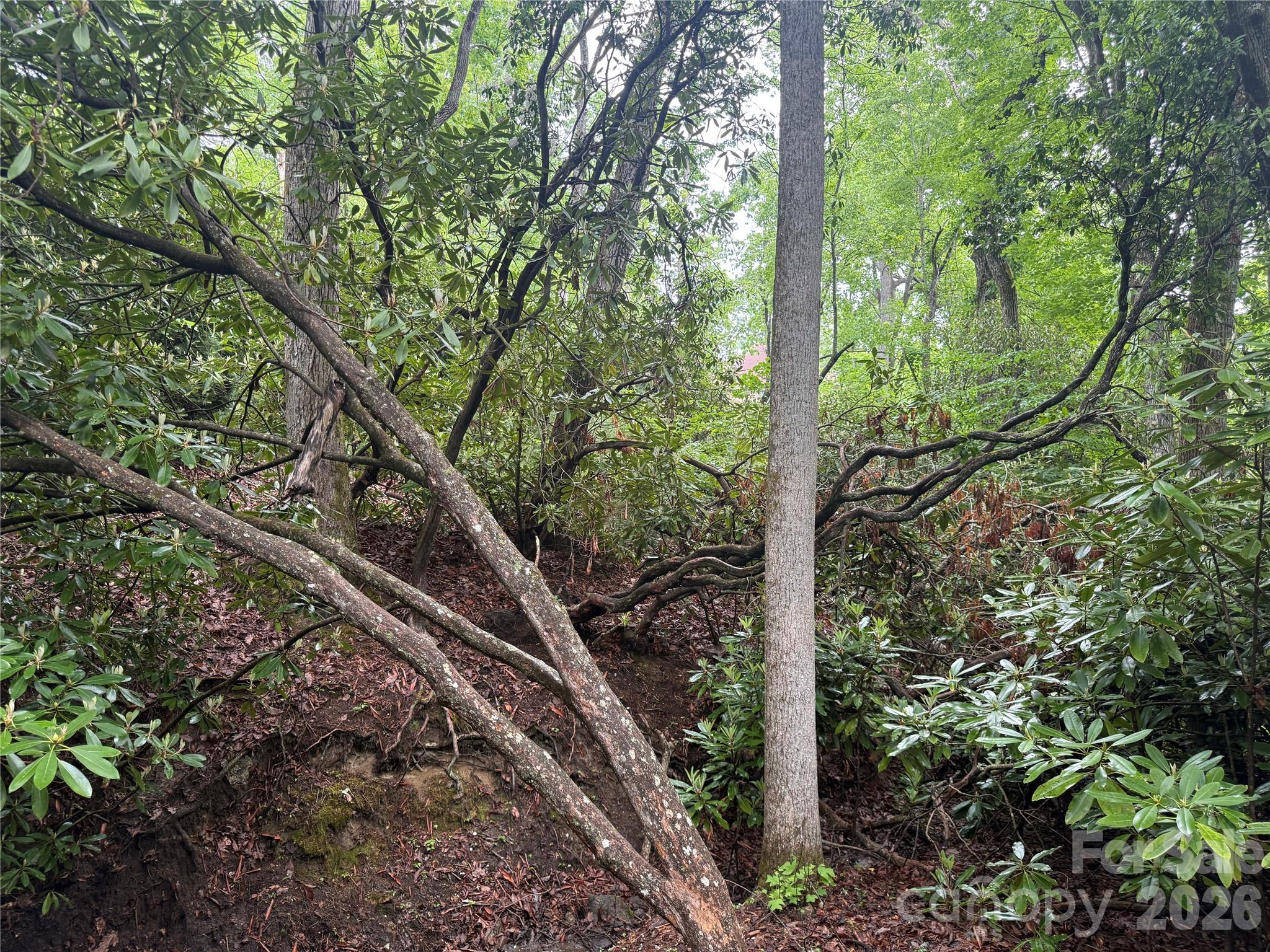 Tbd Dogwood Trail Property Photo 13