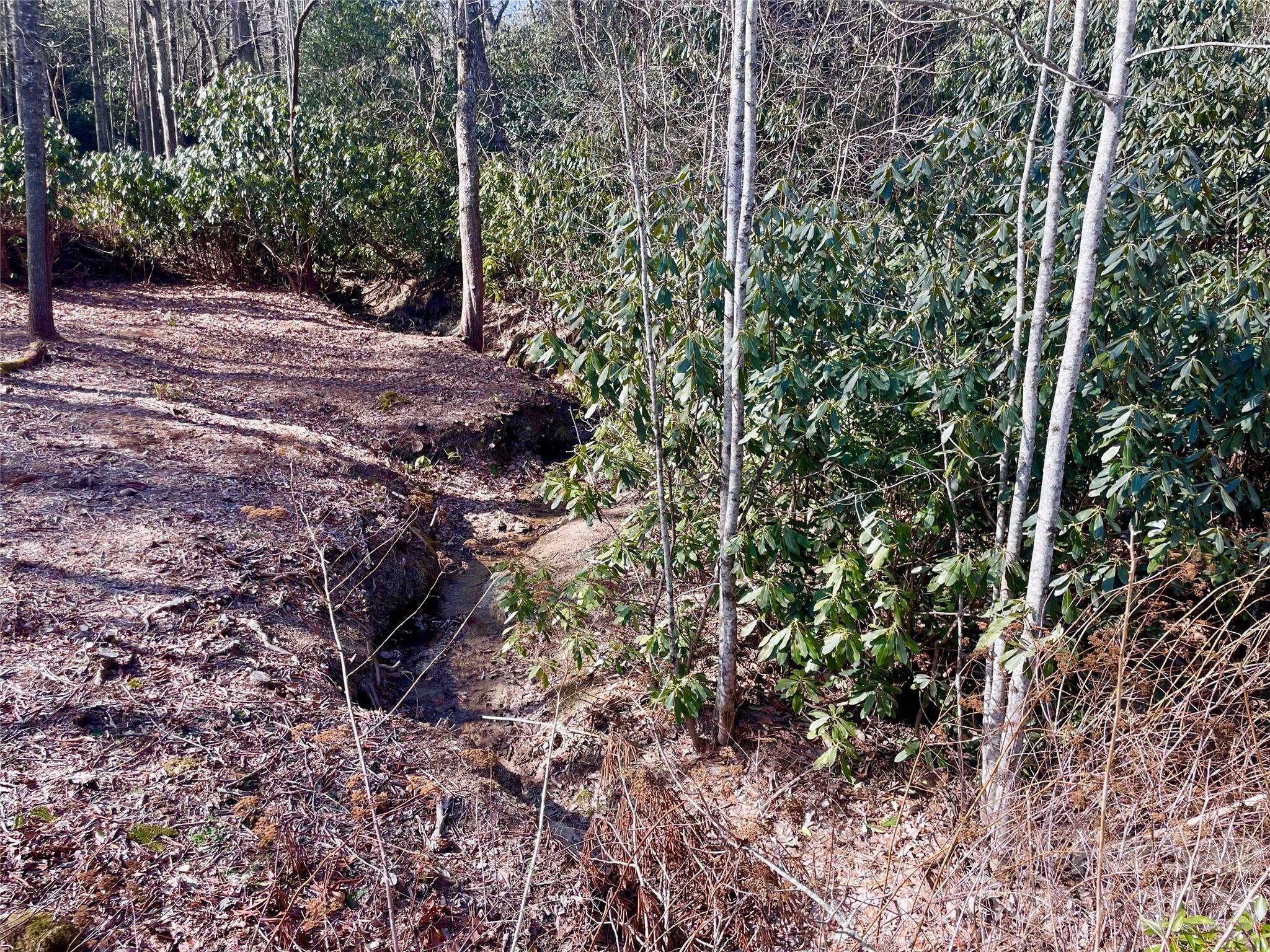 Tbd Dogwood Trail Property Photo 23