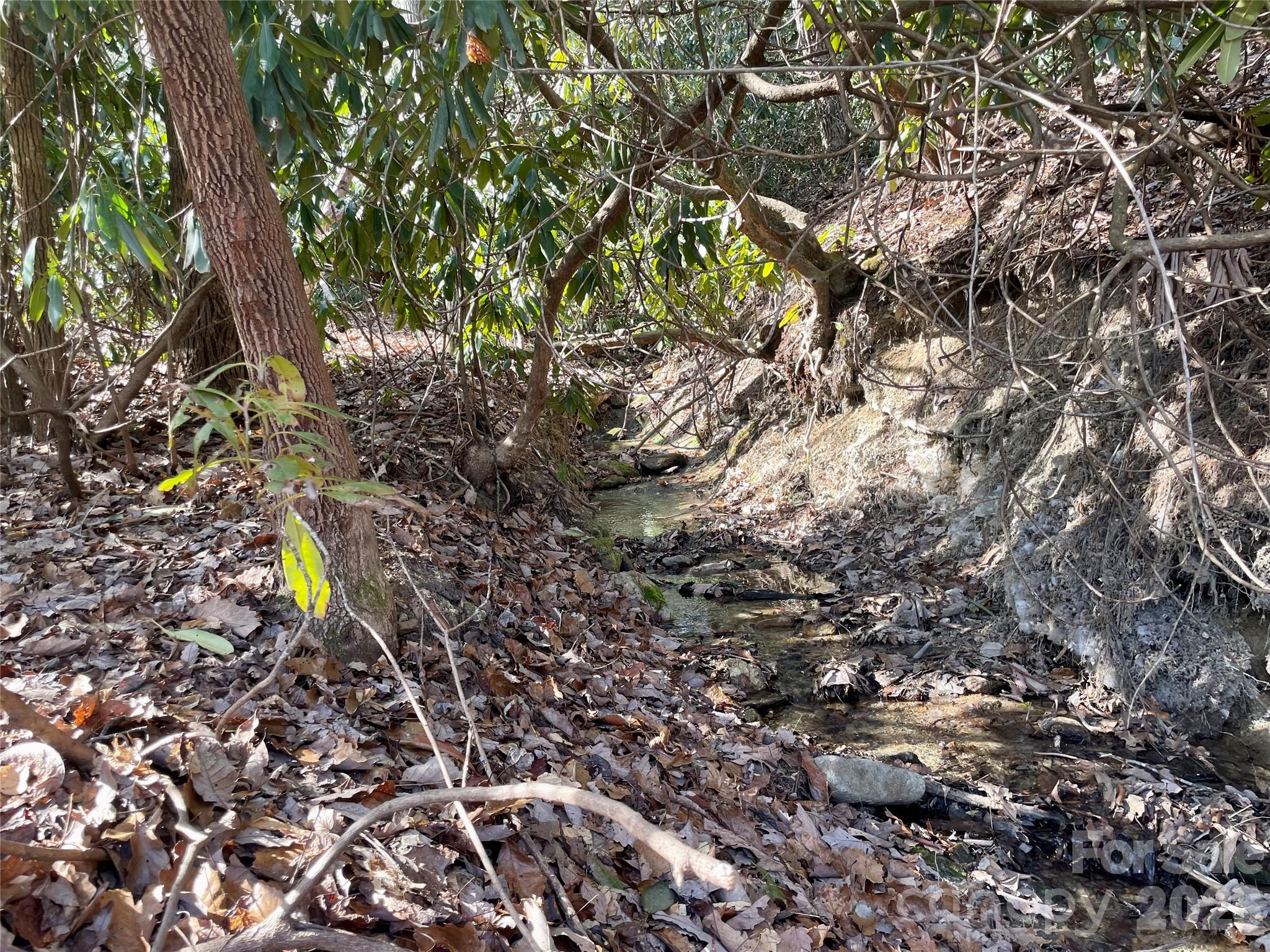 Tbd Dogwood Trail Property Photo 24
