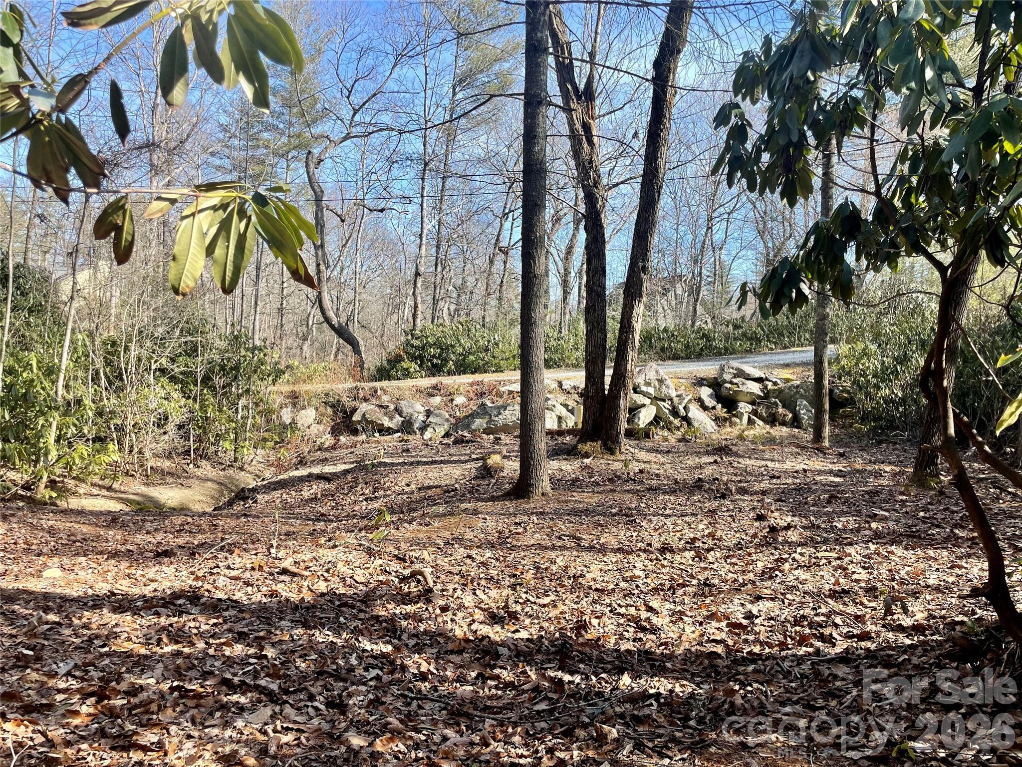 Tbd Dogwood Trail Property Photo 25