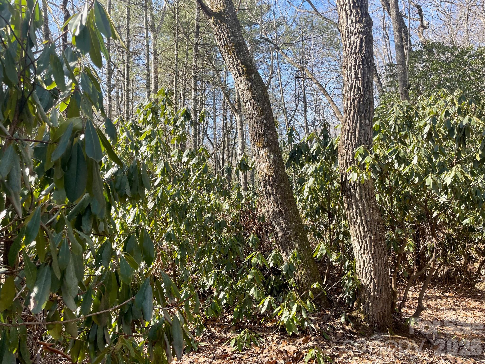Tbd Dogwood Trail Property Photo 26