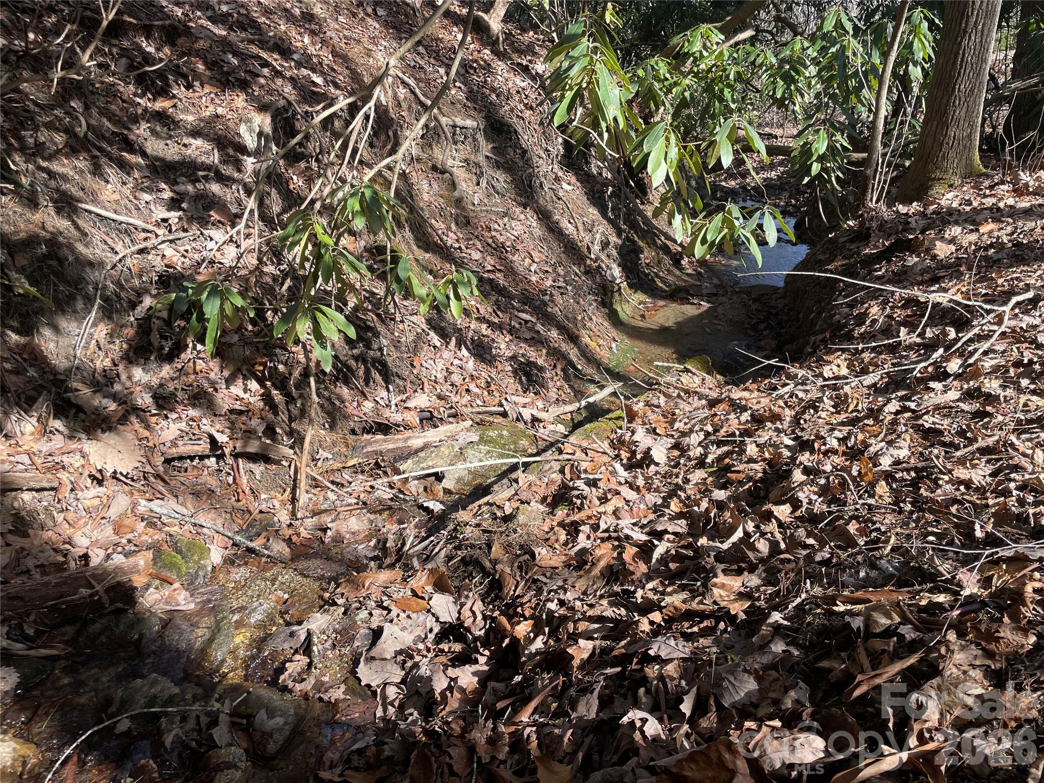 Tbd Dogwood Trail Property Photo 28