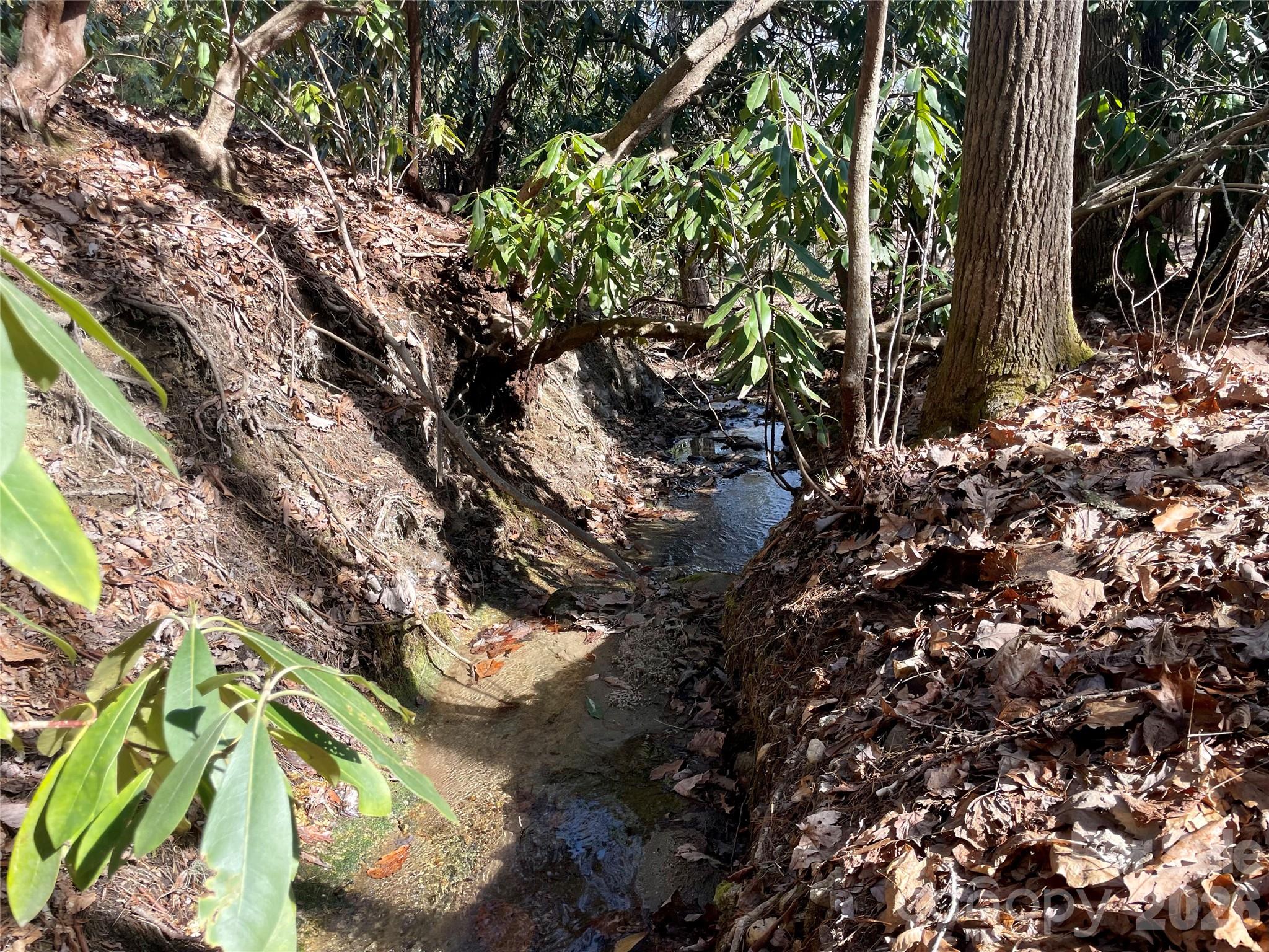 Tbd Dogwood Trail Property Photo 29