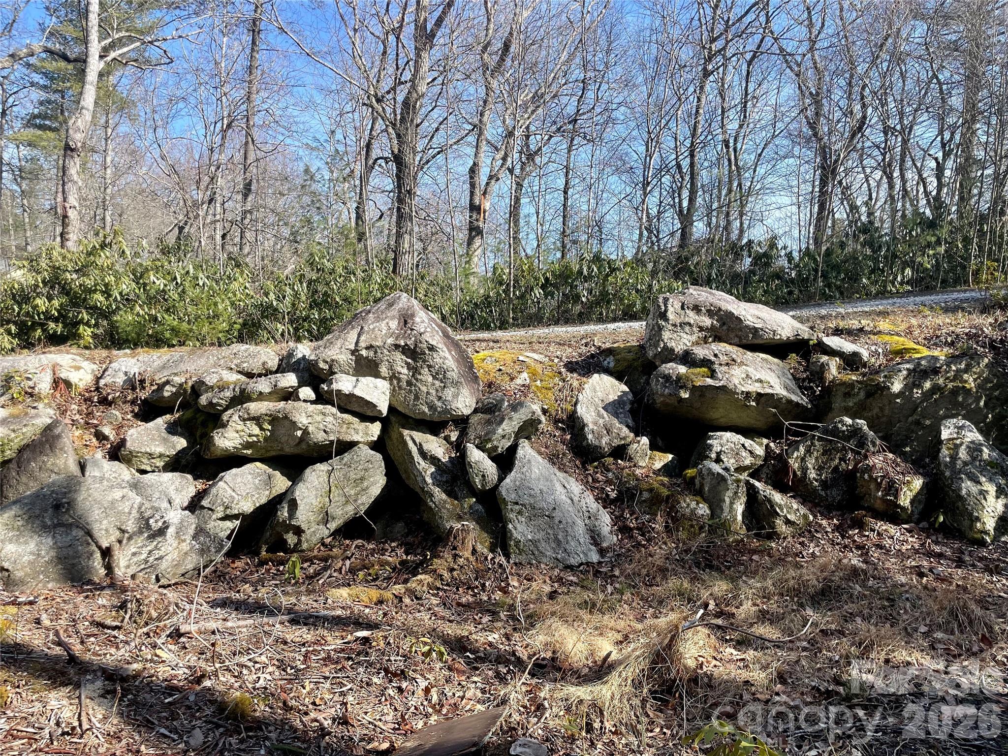 Tbd Dogwood Trail Property Photo 31
