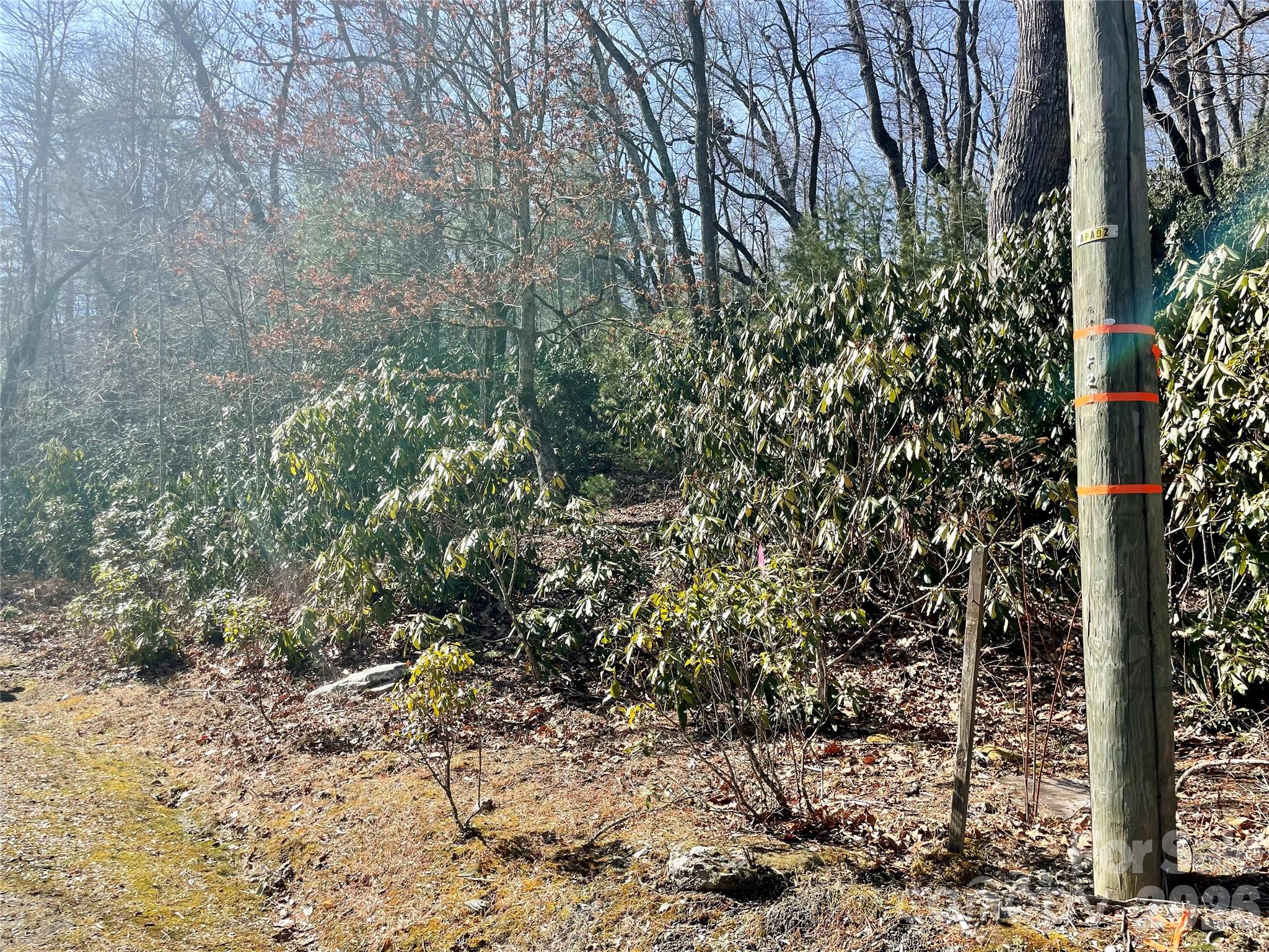 Tbd Dogwood Trail Property Photo 33