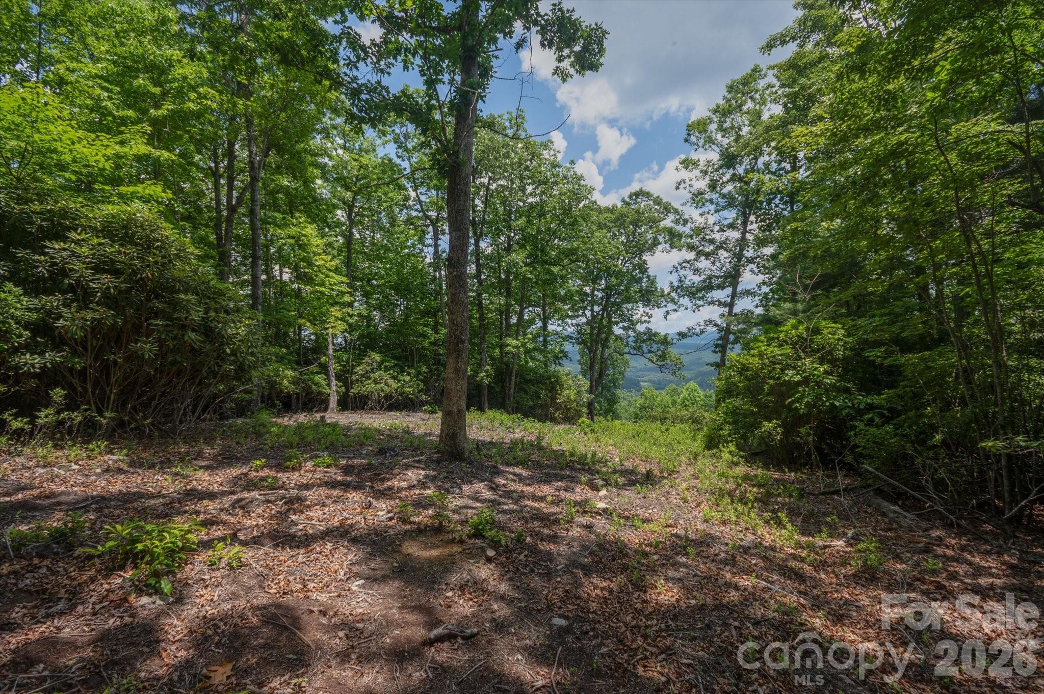 Tbd Reserve Road 16 Property Photo 1