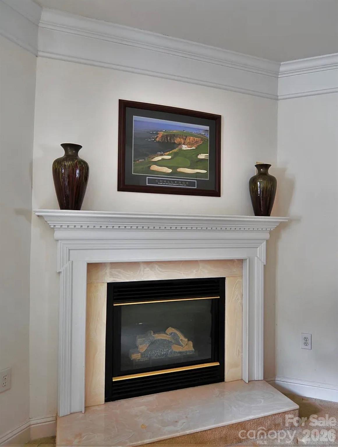 6918 Misty Pine Lane Property Photo 2