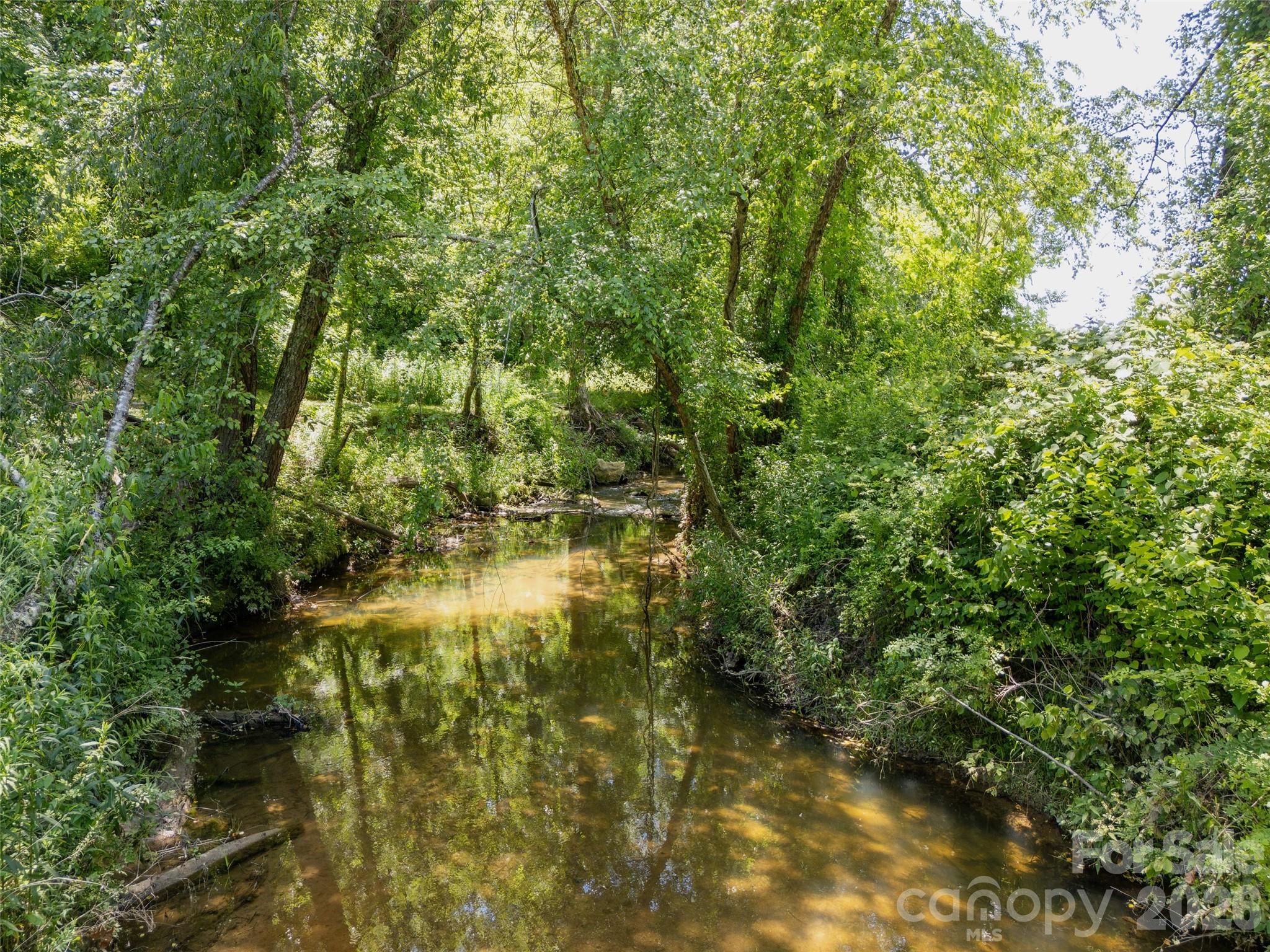 167 Tatham Road Property Photo 46