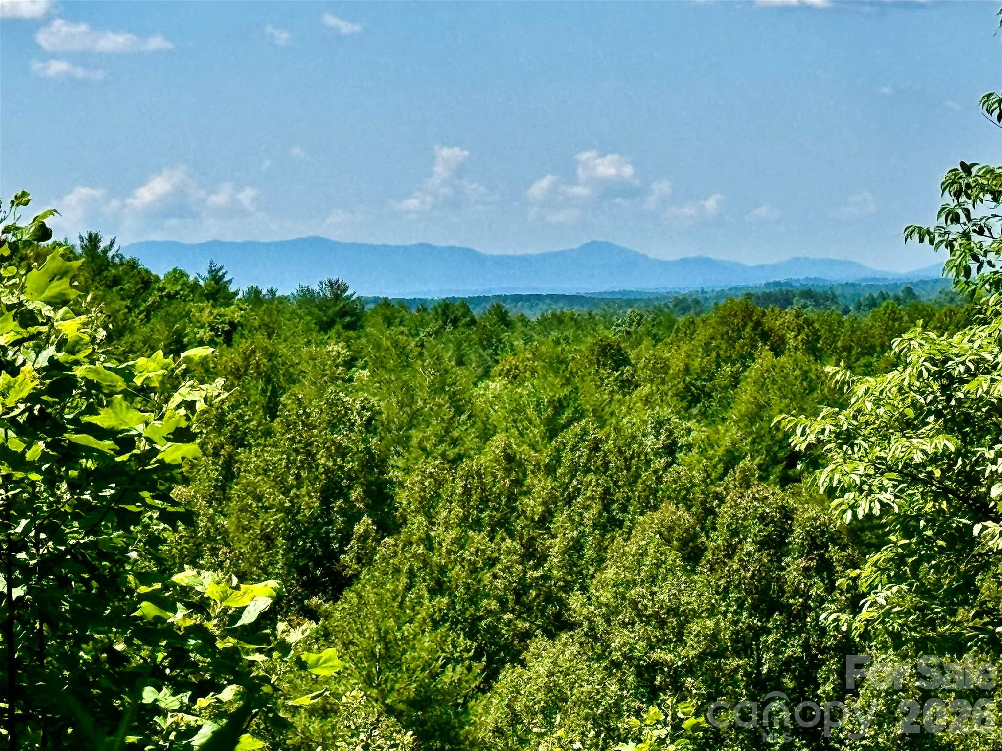 10 Acres, Lot 528, Scenic Vista Trail 528 Property Photo 1