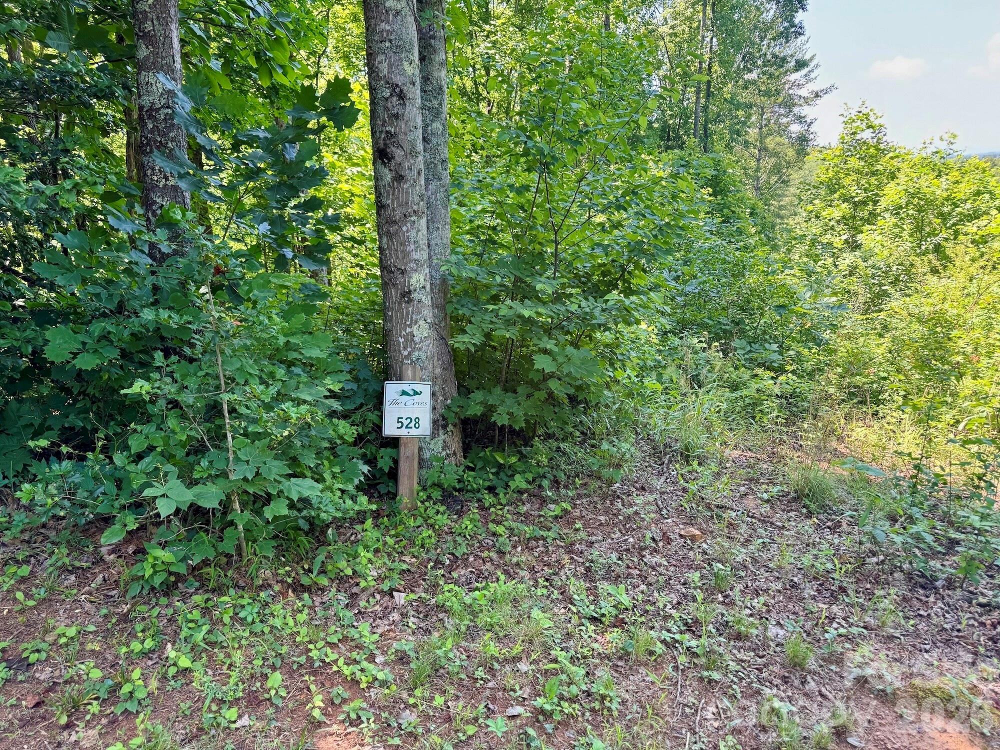 10 Acres, Lot 528, Scenic Vista Trail 528 Property Photo 2