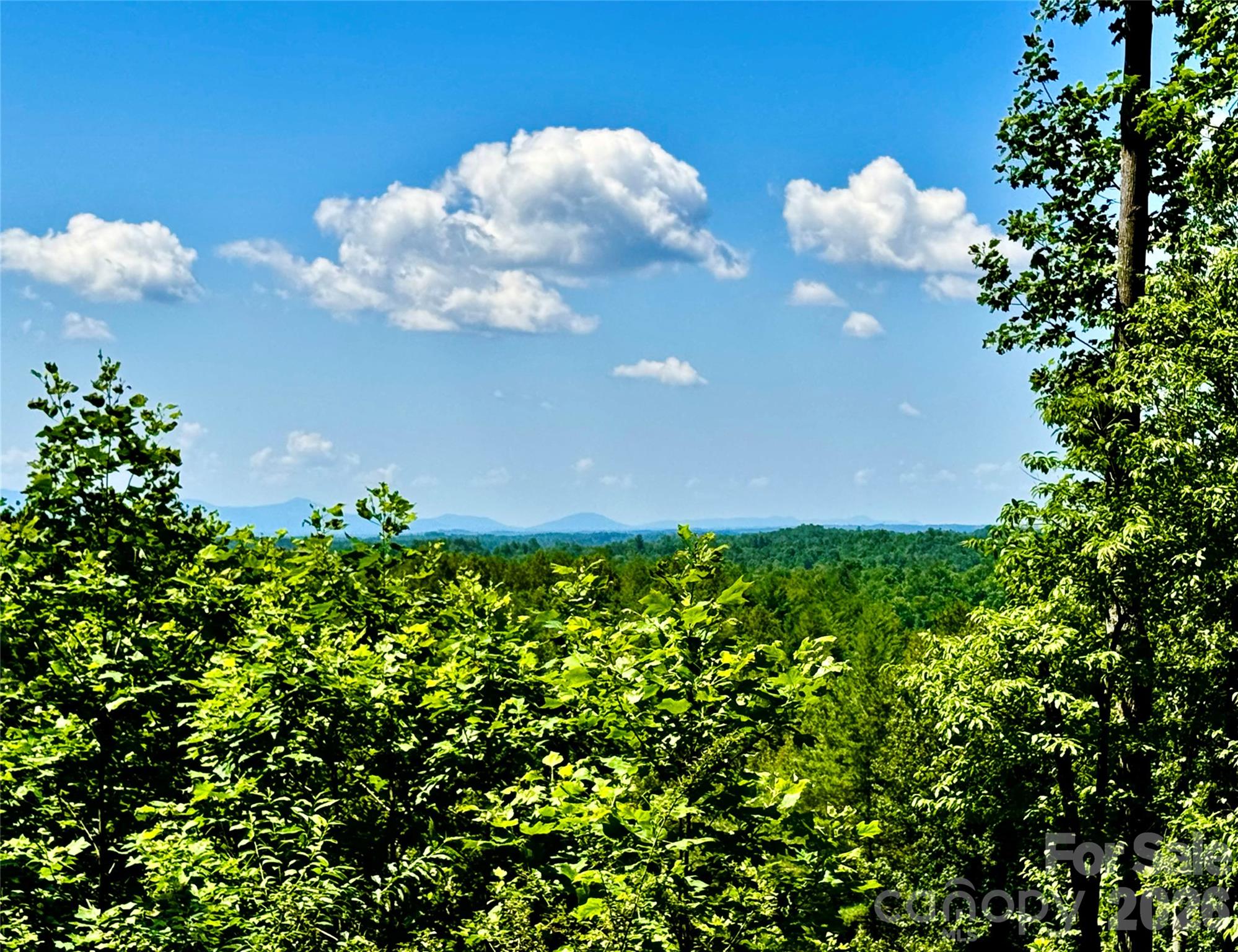 10 Acres, Lot 528, Scenic Vista Trail 528 Property Photo 3