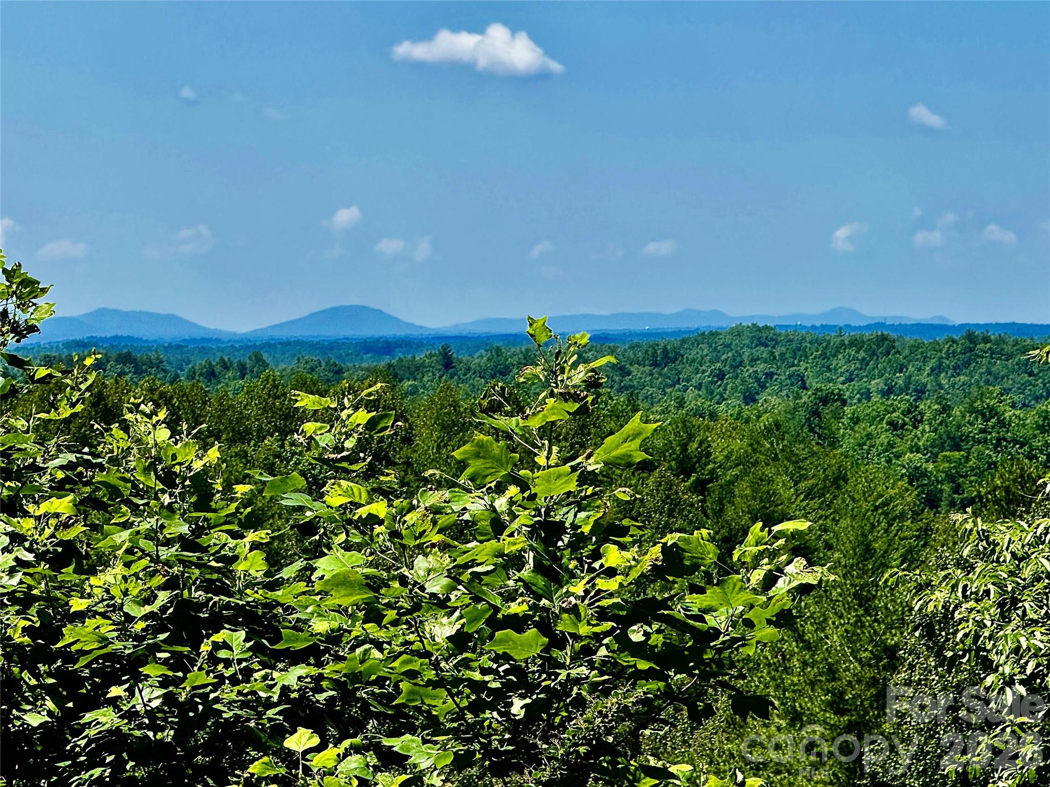10 Acres, Lot 528, Scenic Vista Trail 528 Property Photo 4